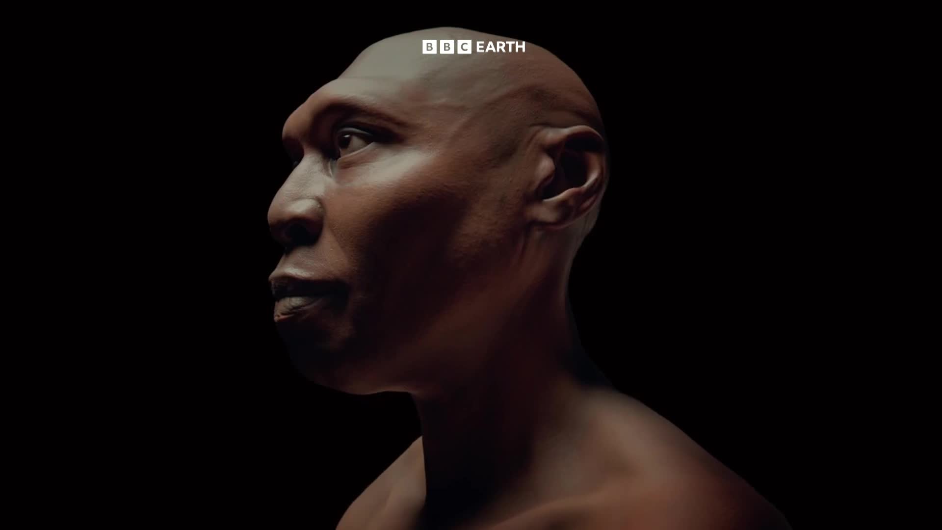 BBCEarth