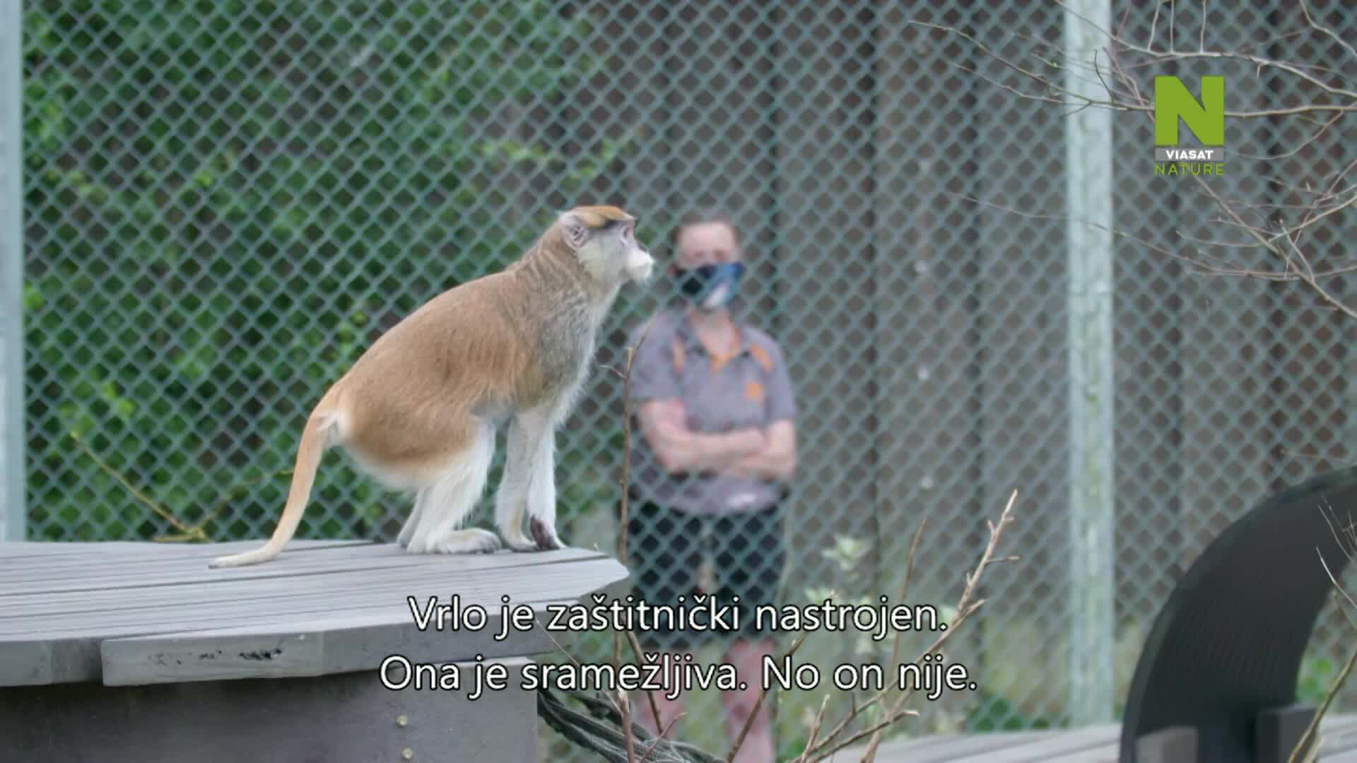 ViasatNature