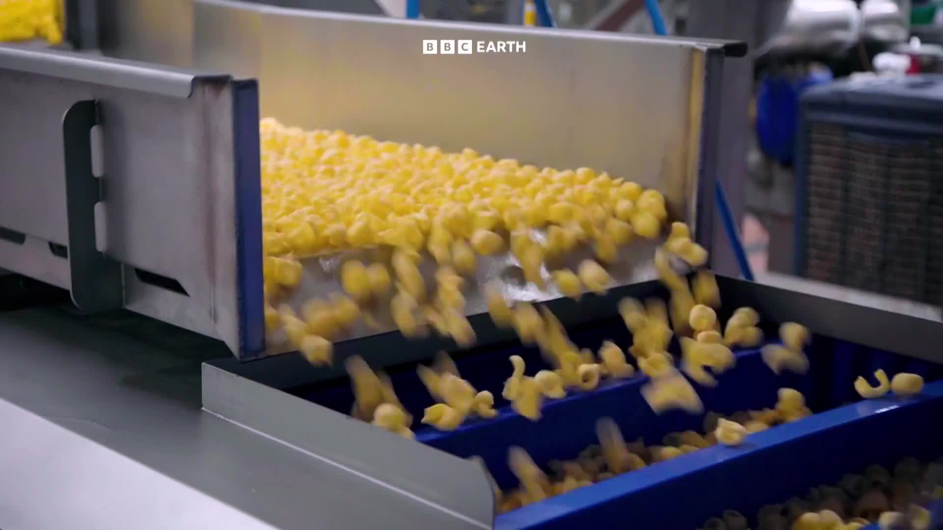 BBCEarth