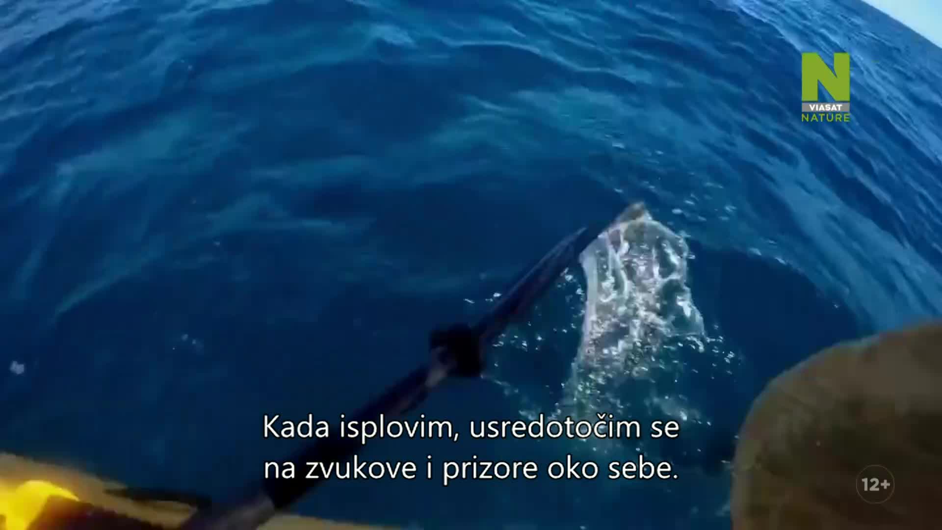 ViasatNature