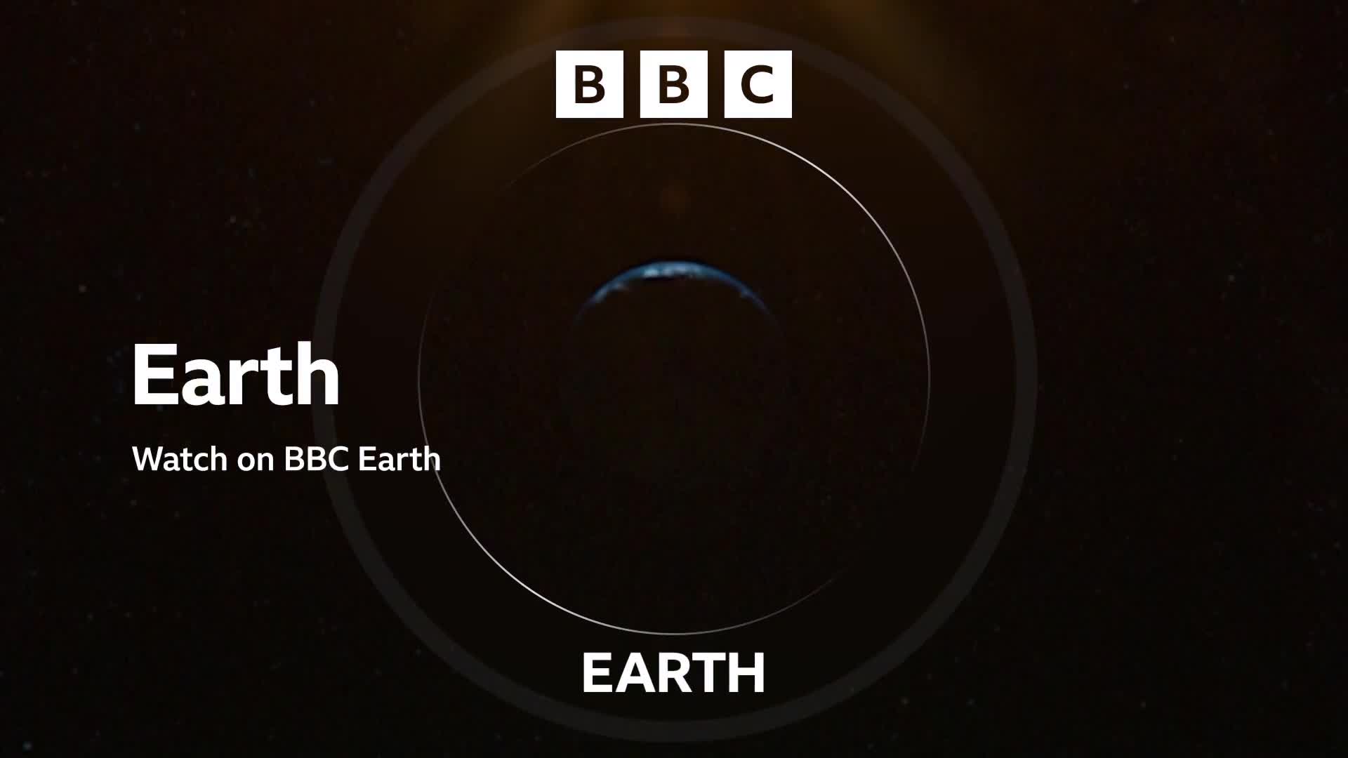 BBCEarth