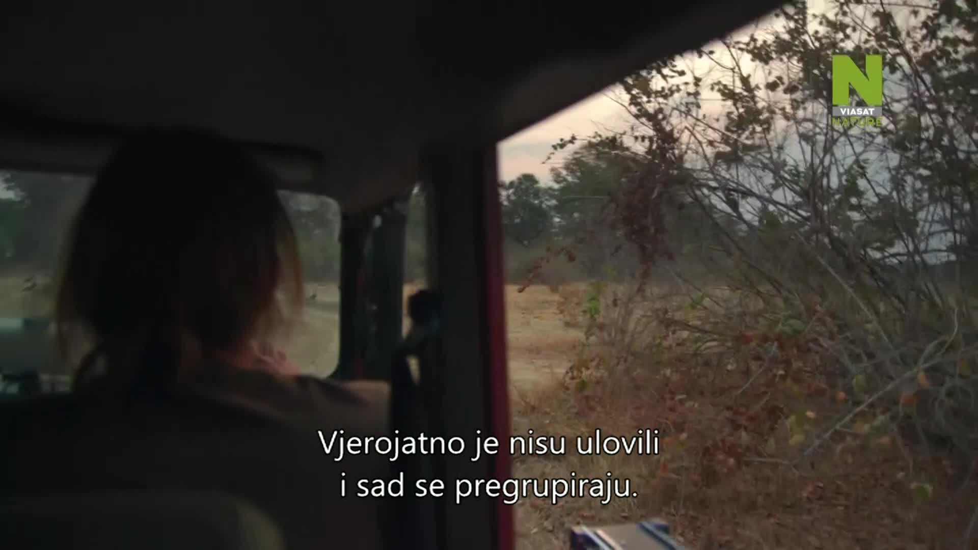 ViasatNature