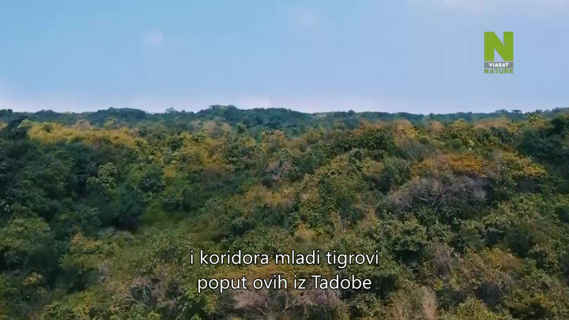 ViasatNature
