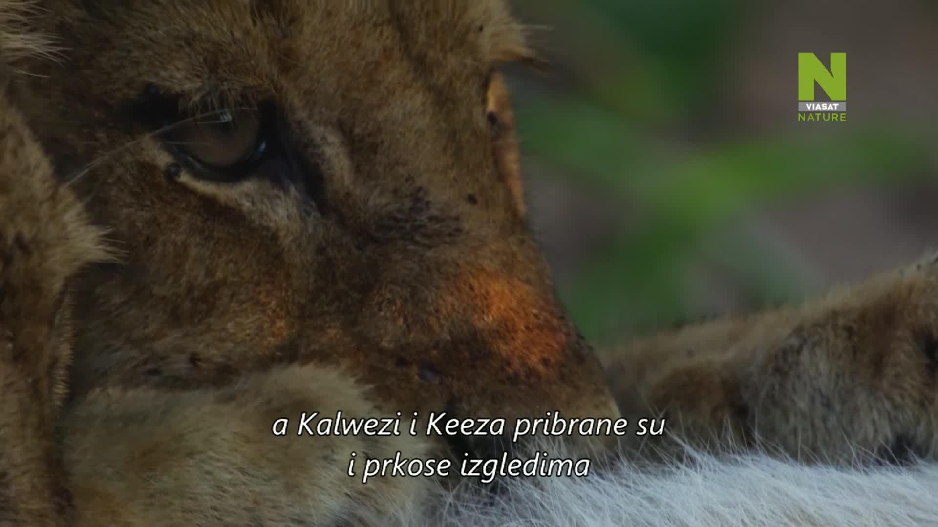 ViasatNature