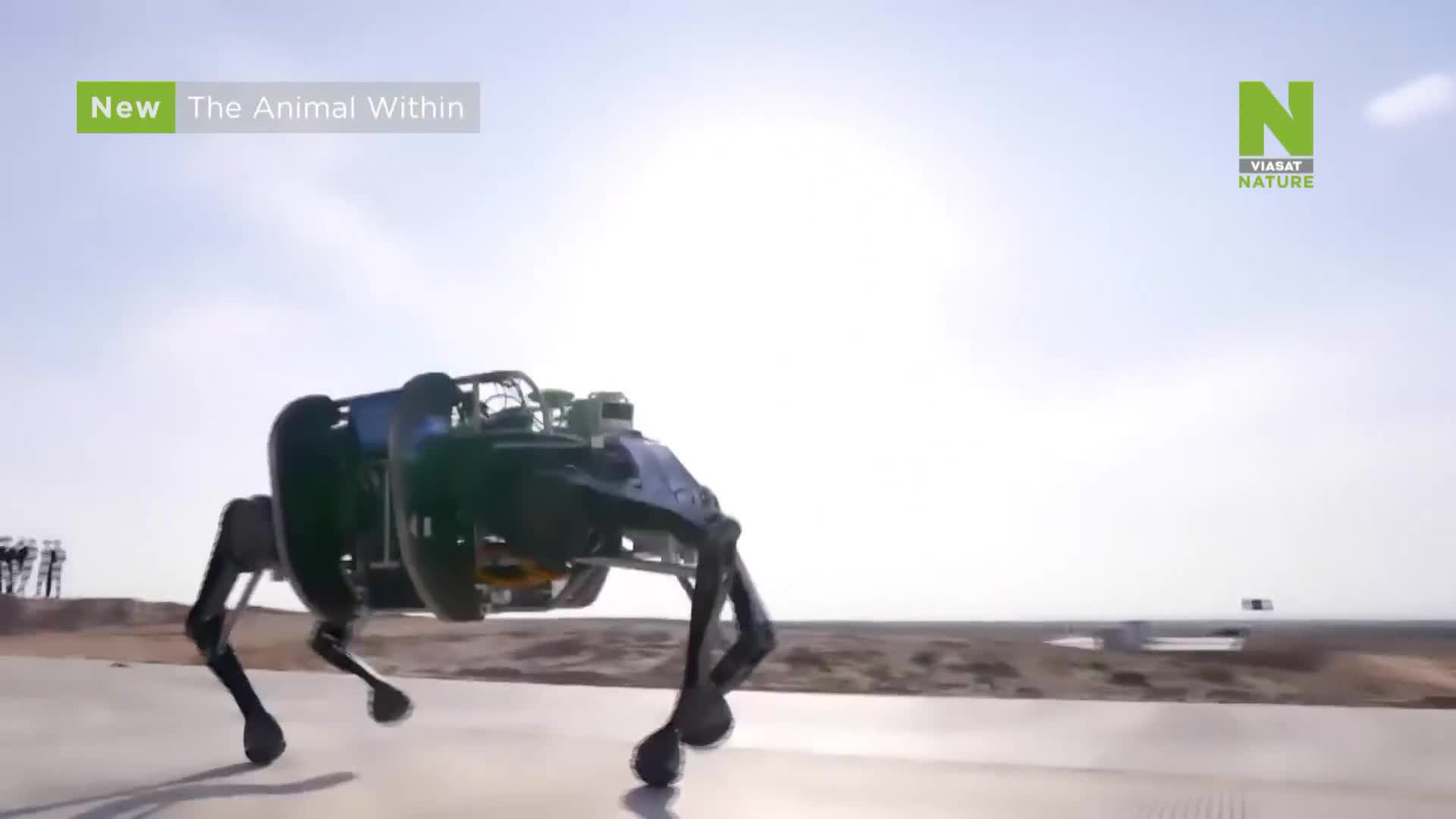 ViasatNature
