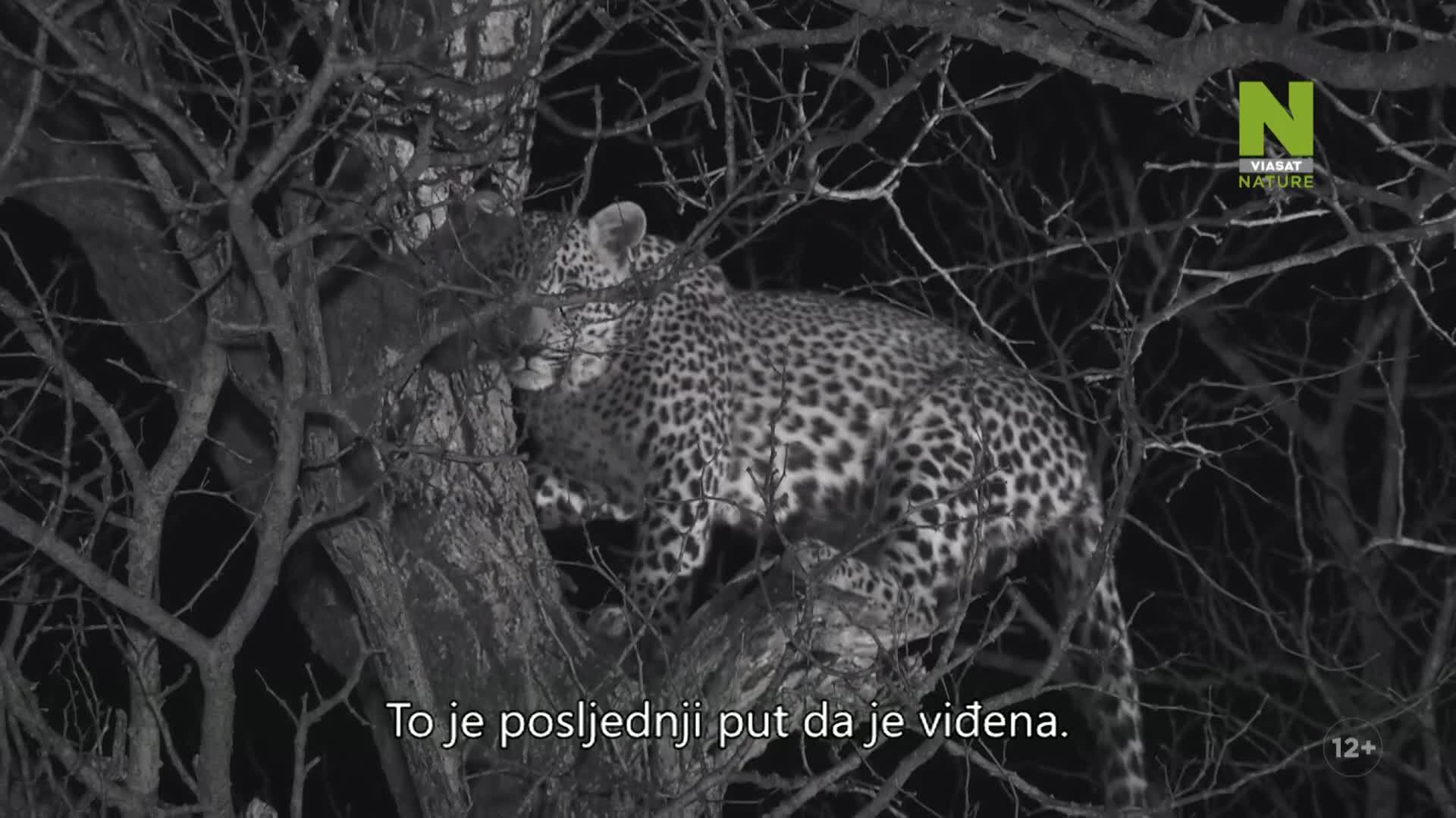 ViasatNature