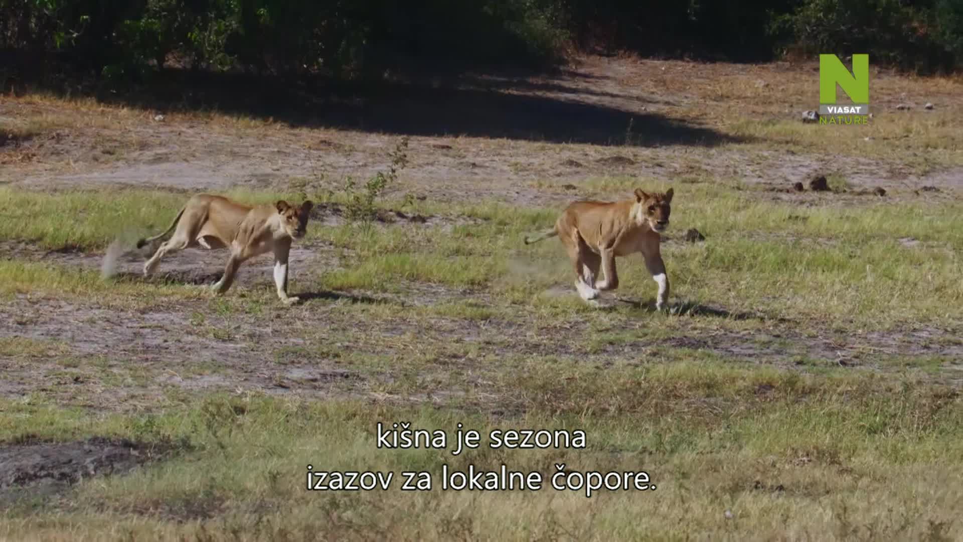 ViasatNature
