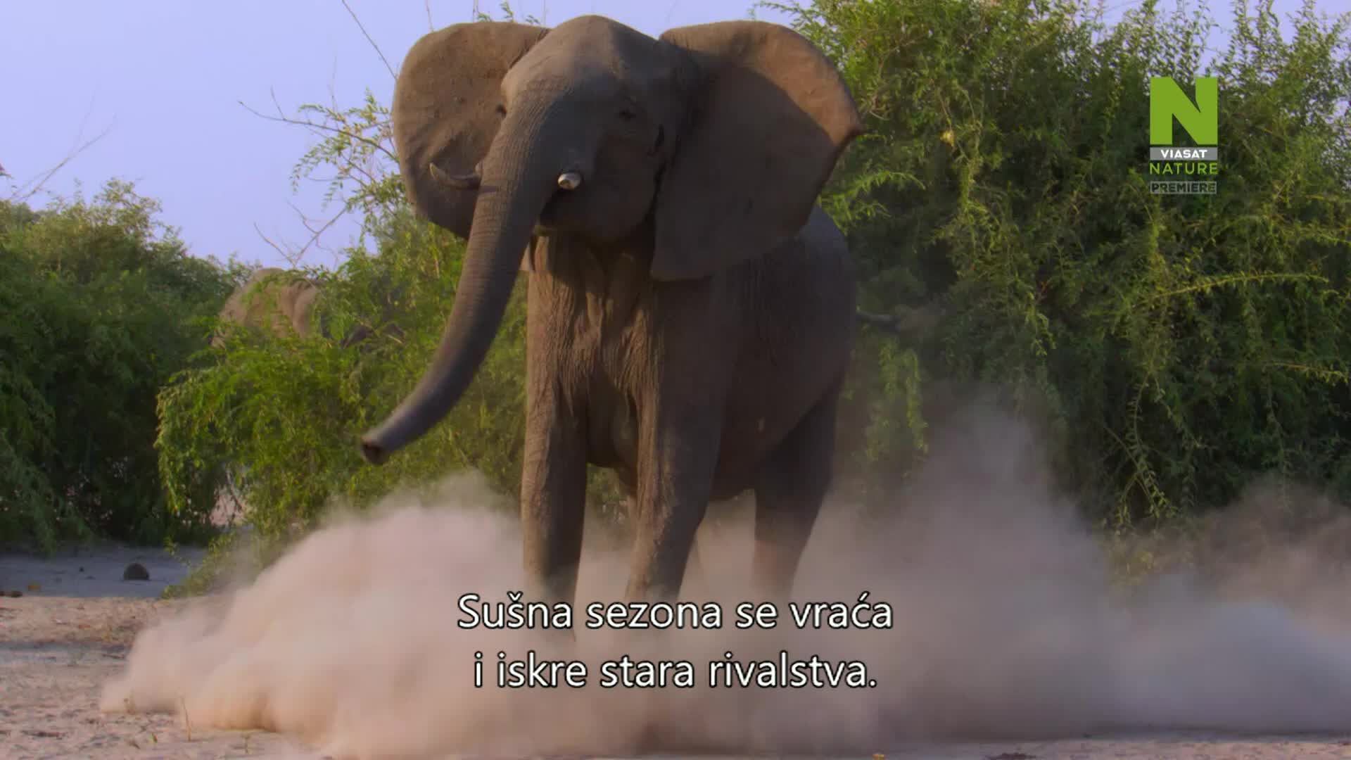 ViasatNature