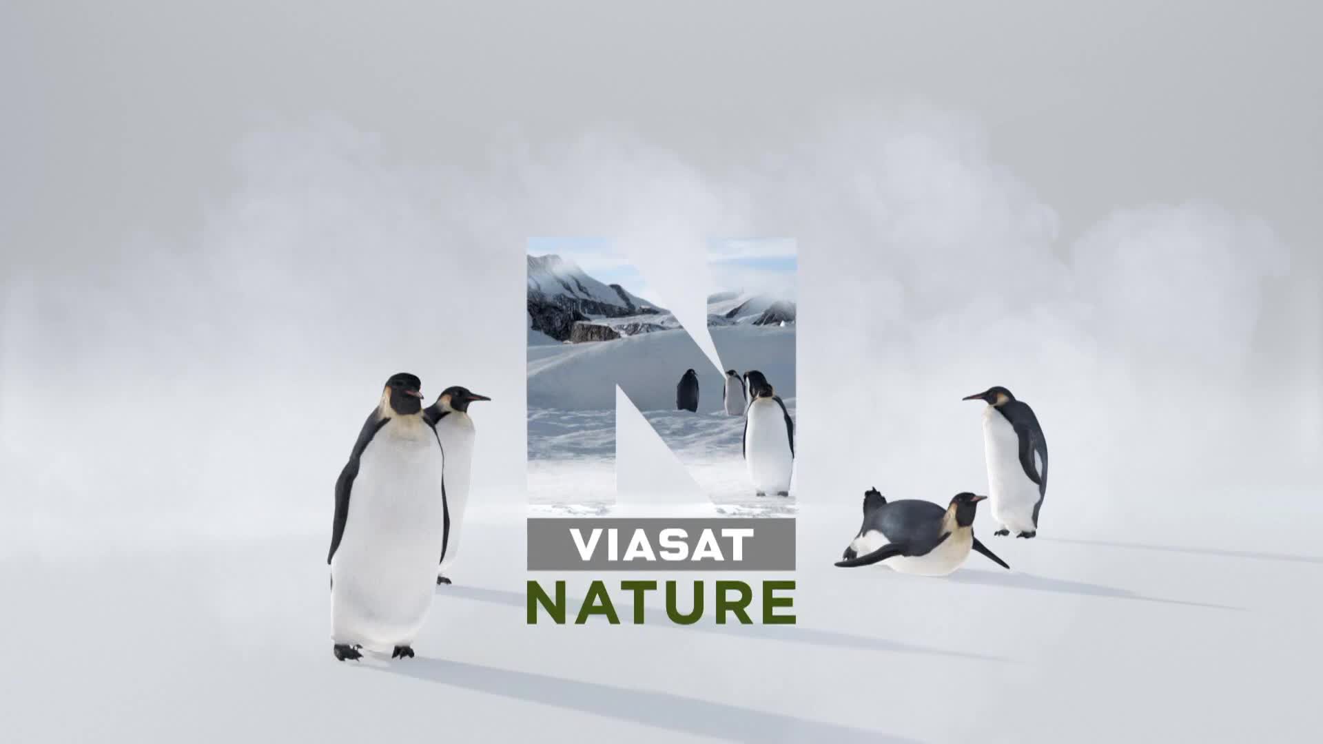 ViasatNature
