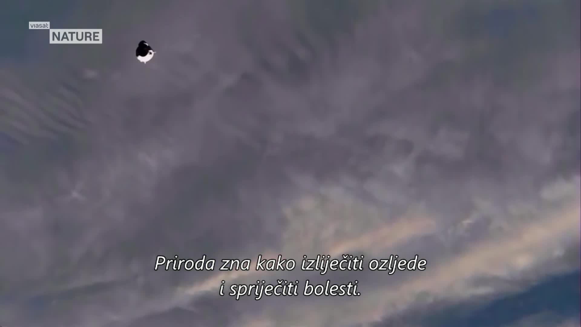 ViasatNature