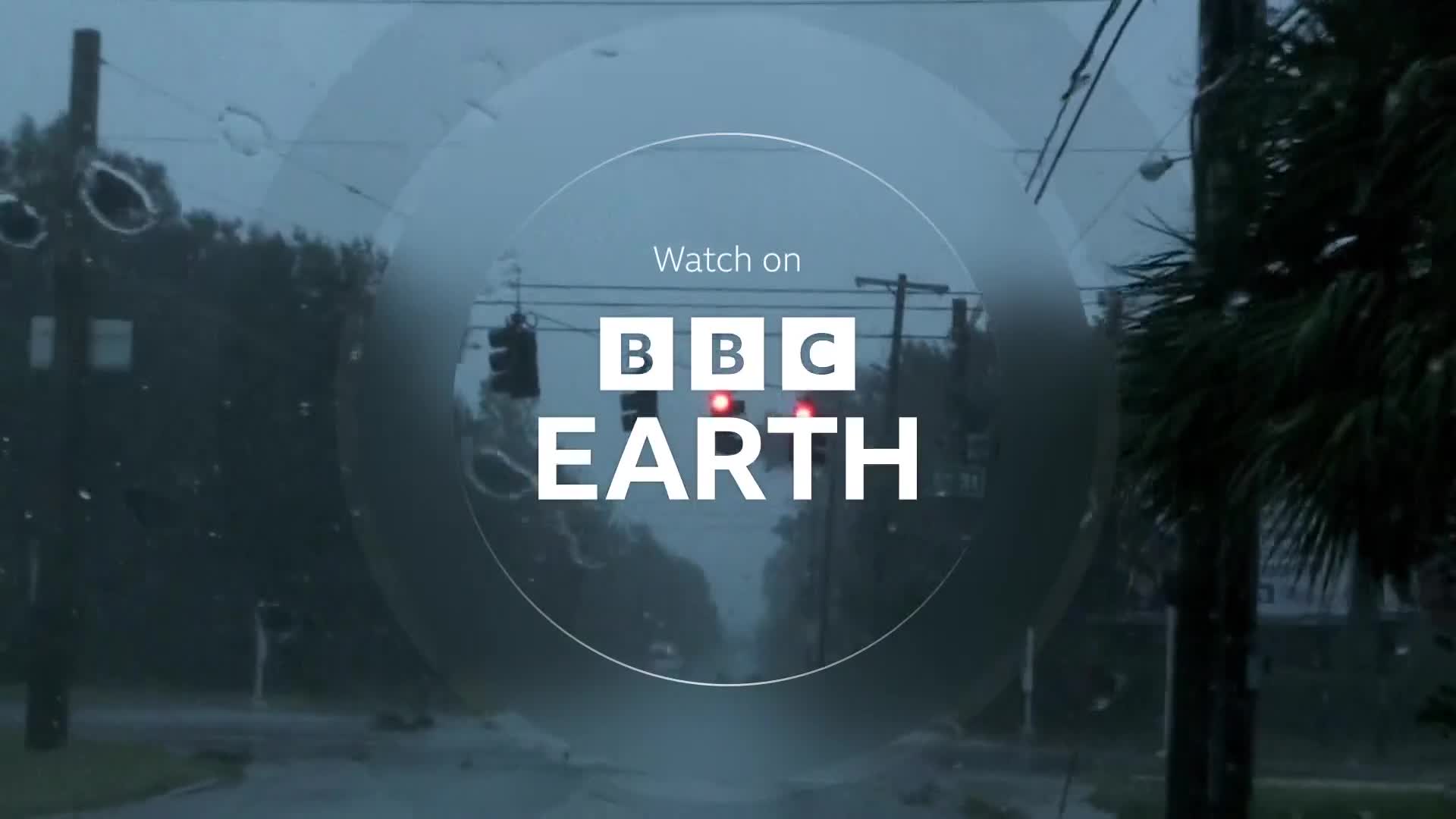 BBCEarth