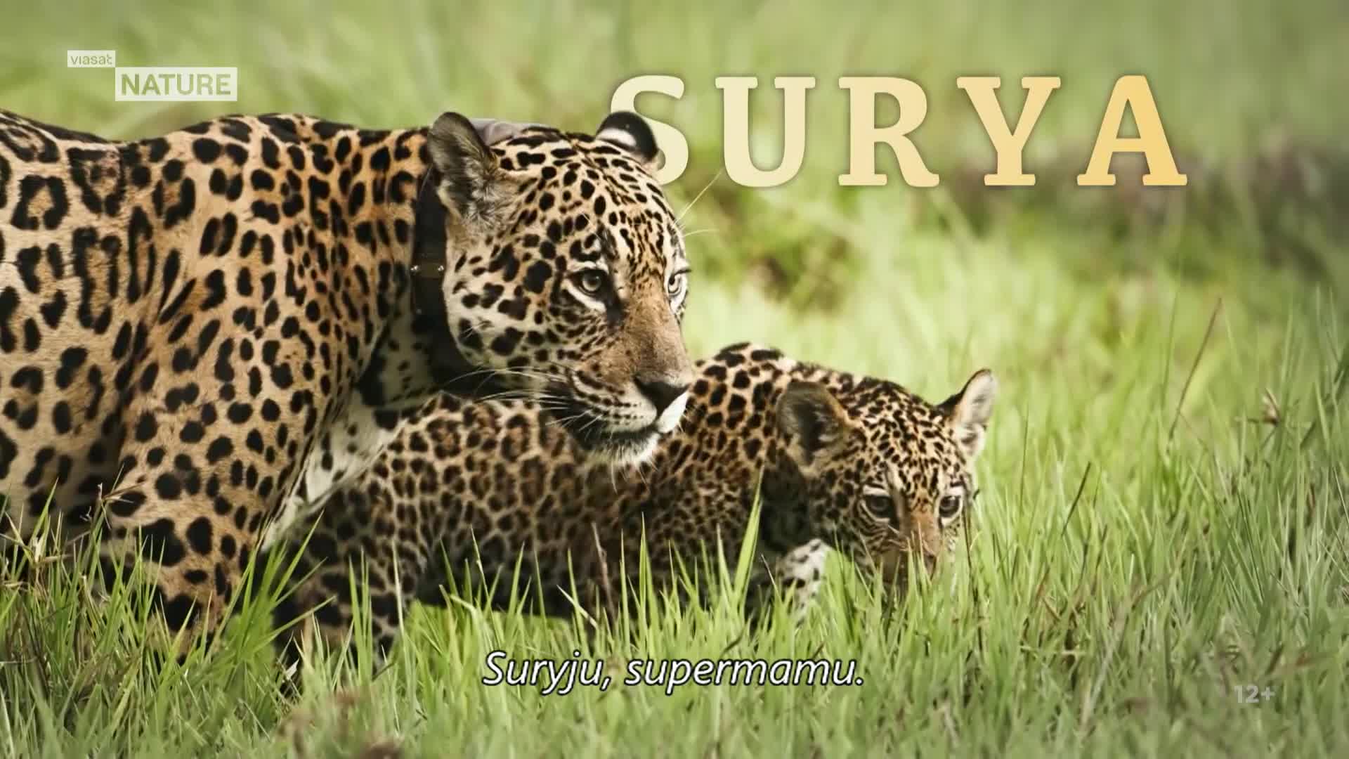 ViasatNature