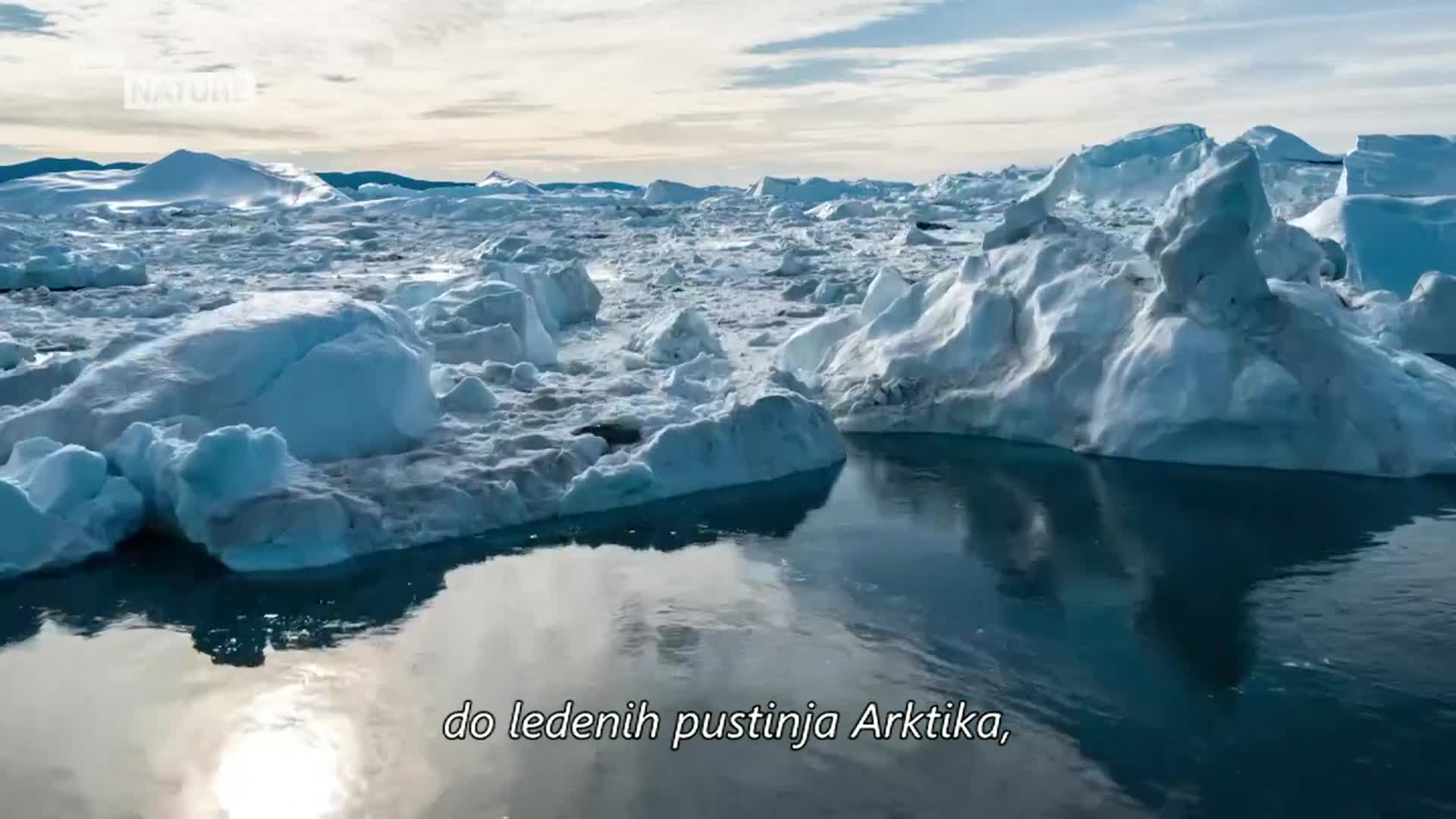 ViasatNature