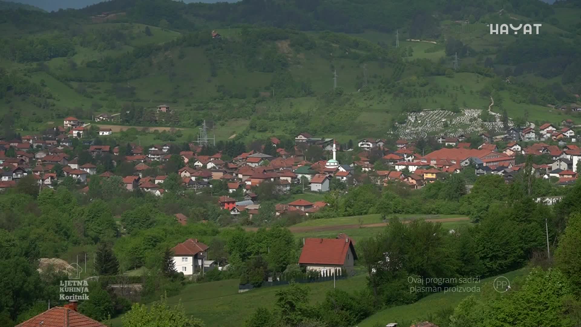 hayat