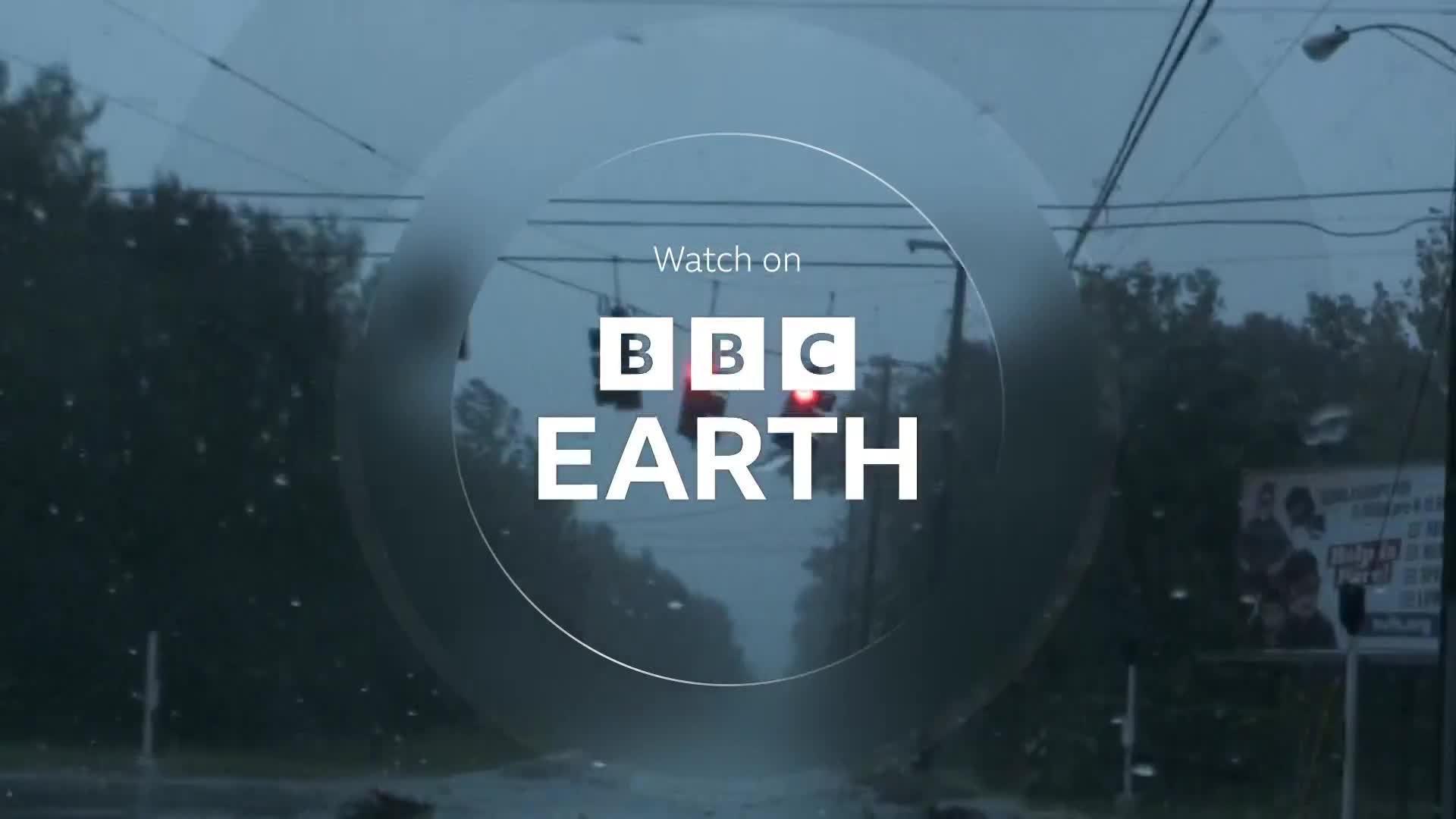 BBCEarth