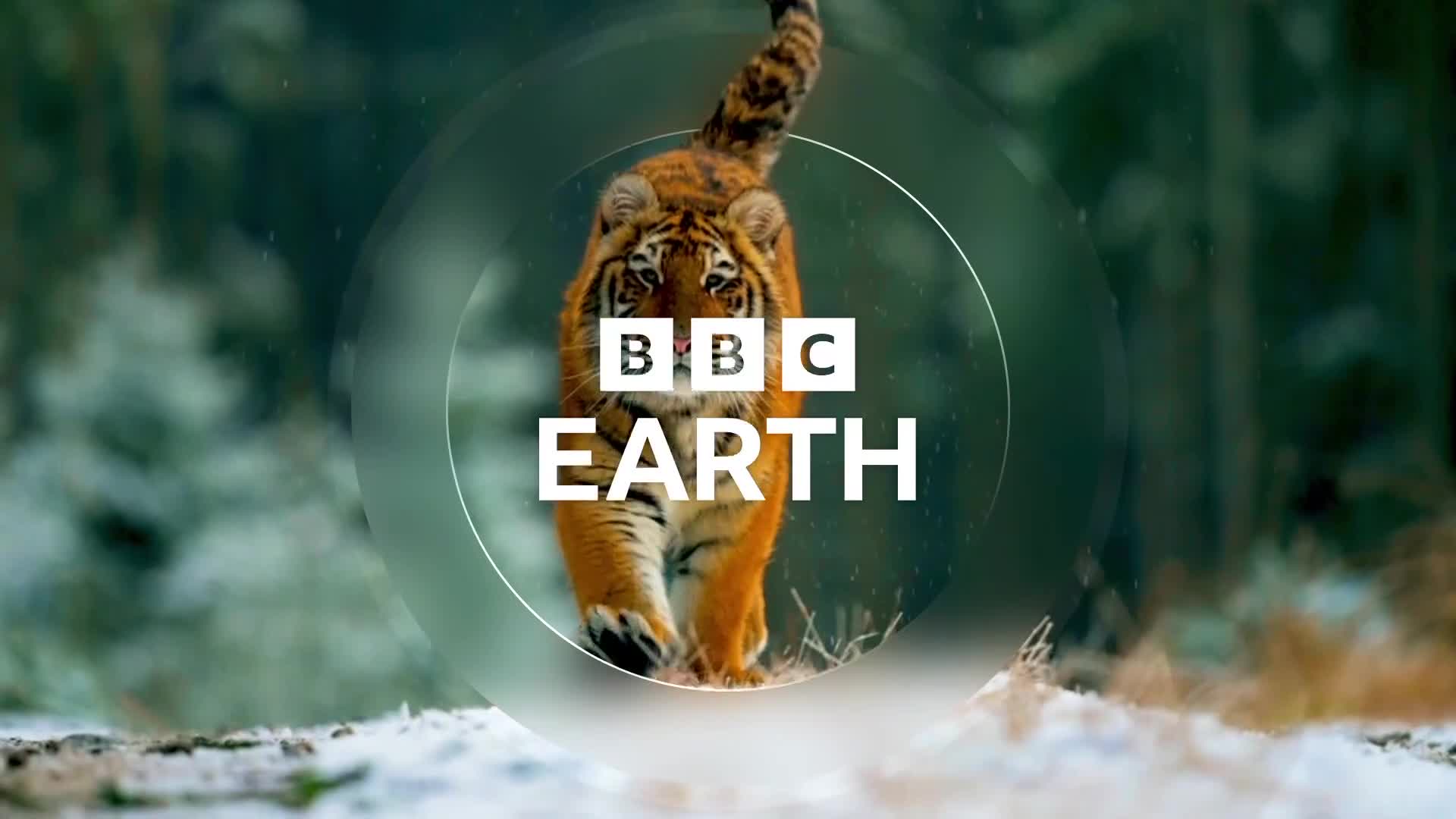 BBCEarth