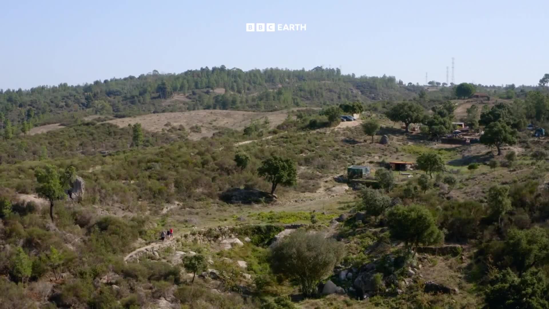 BBCEarth
