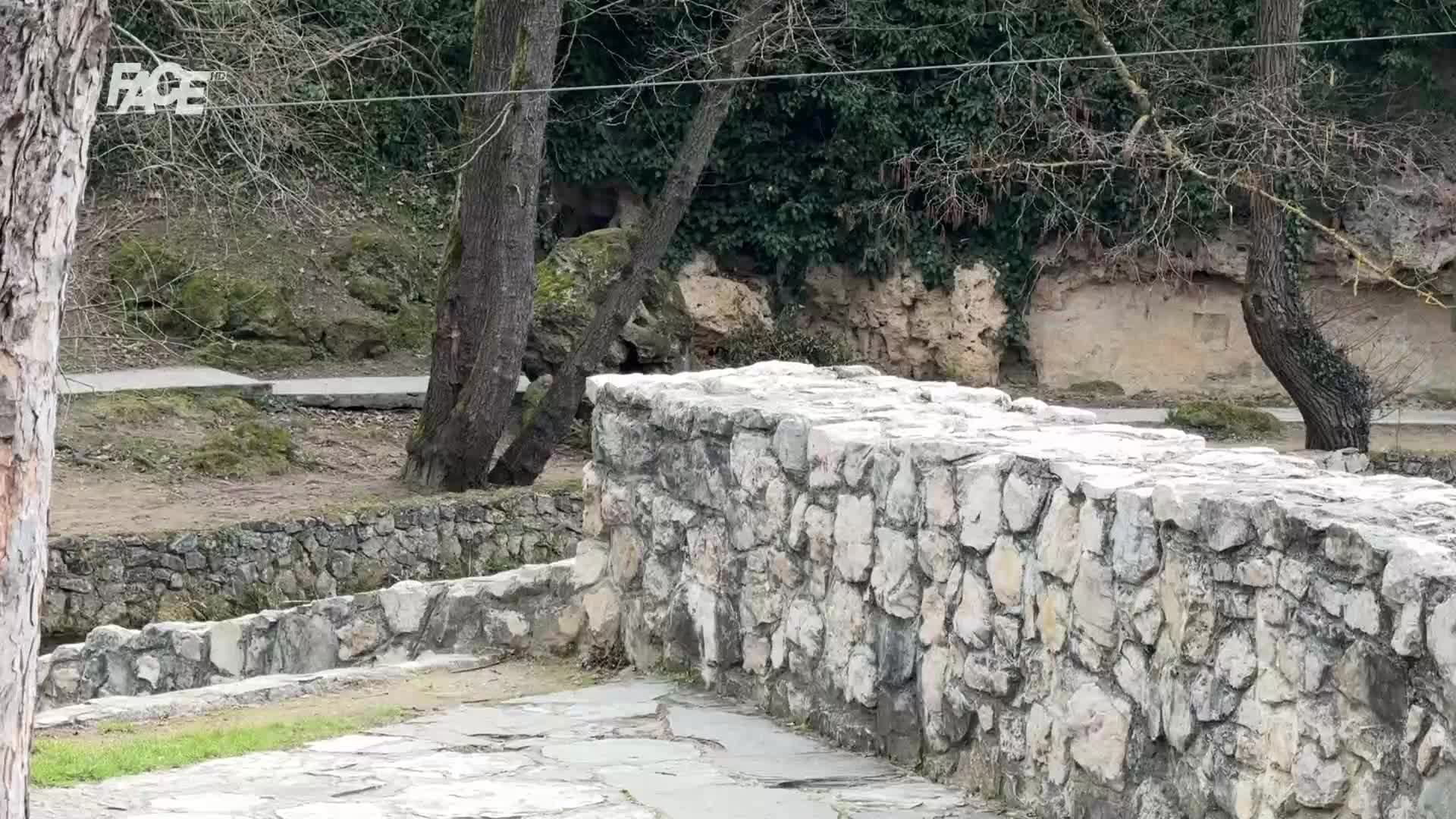 FaceTV