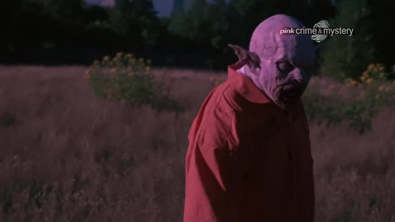 PinkCrimeMystery