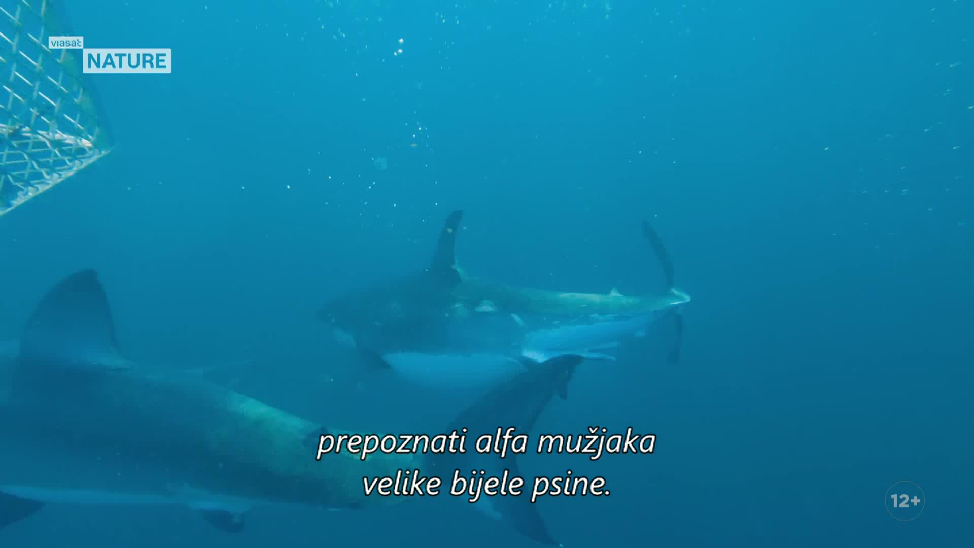ViasatNature