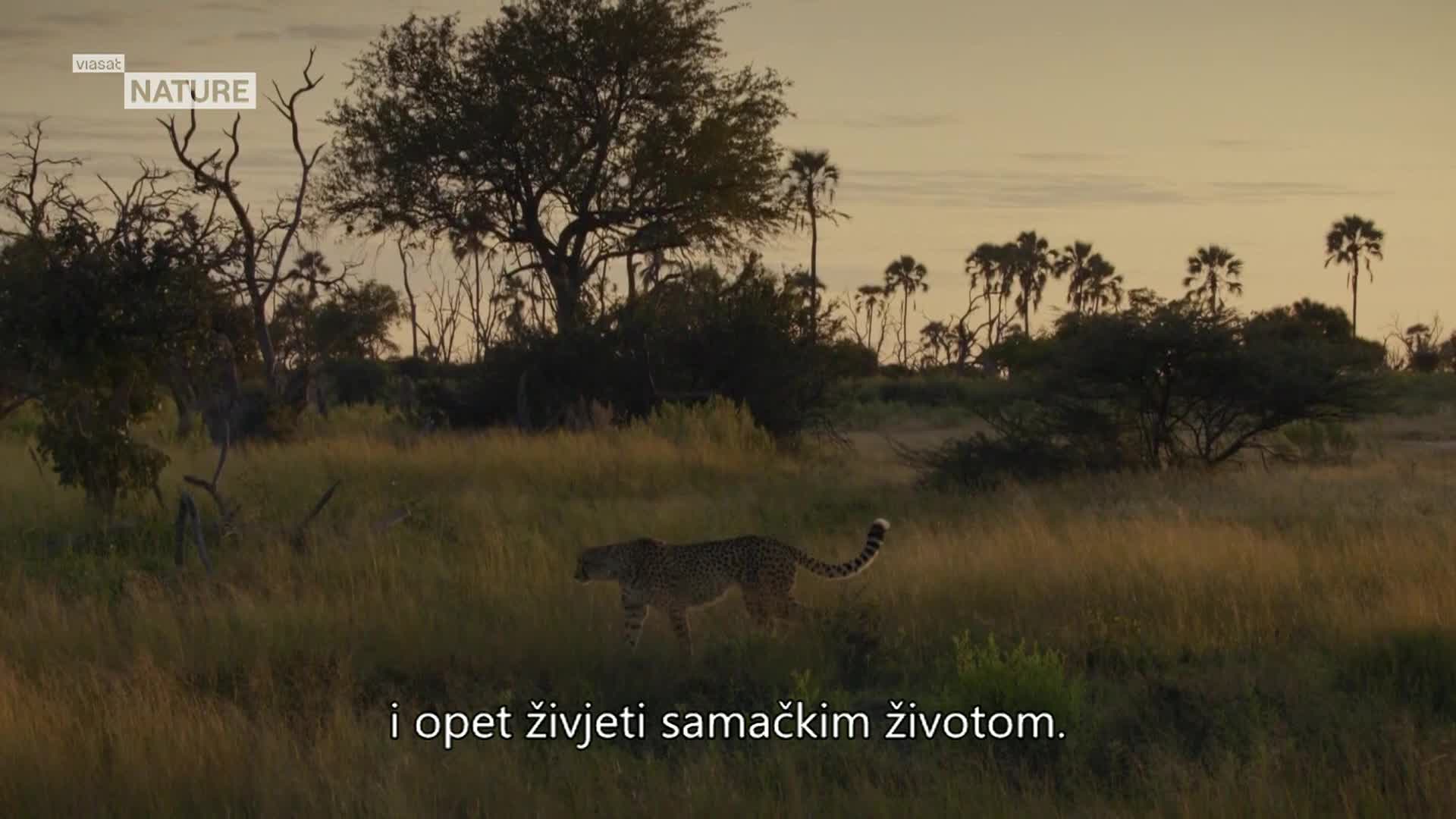 ViasatNature