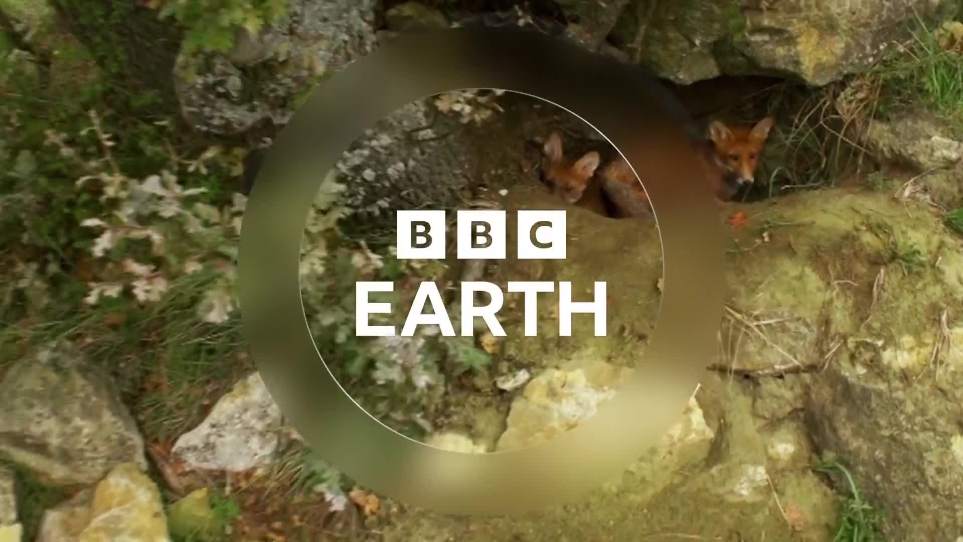 BBCEarth