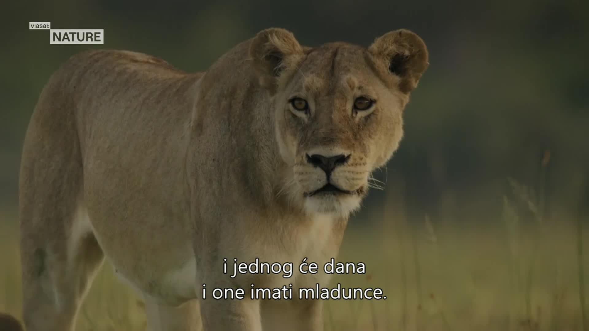 ViasatNature
