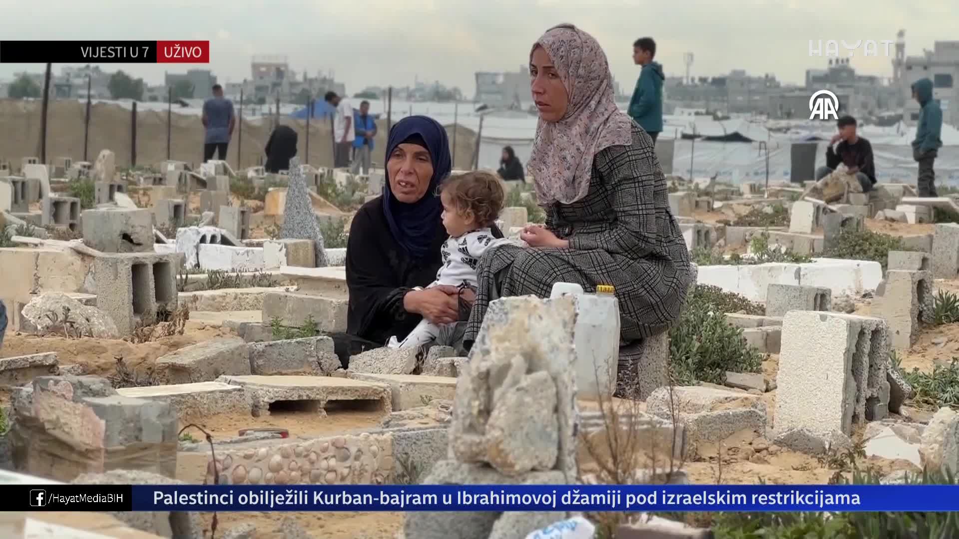 hayat