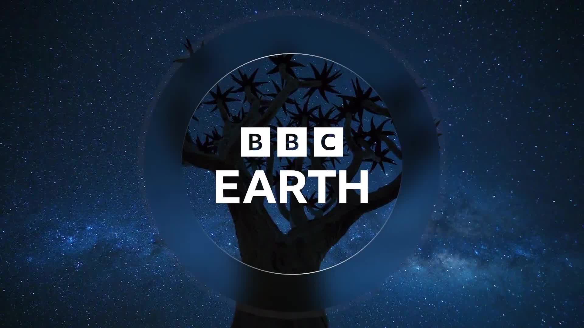 BBCEarth