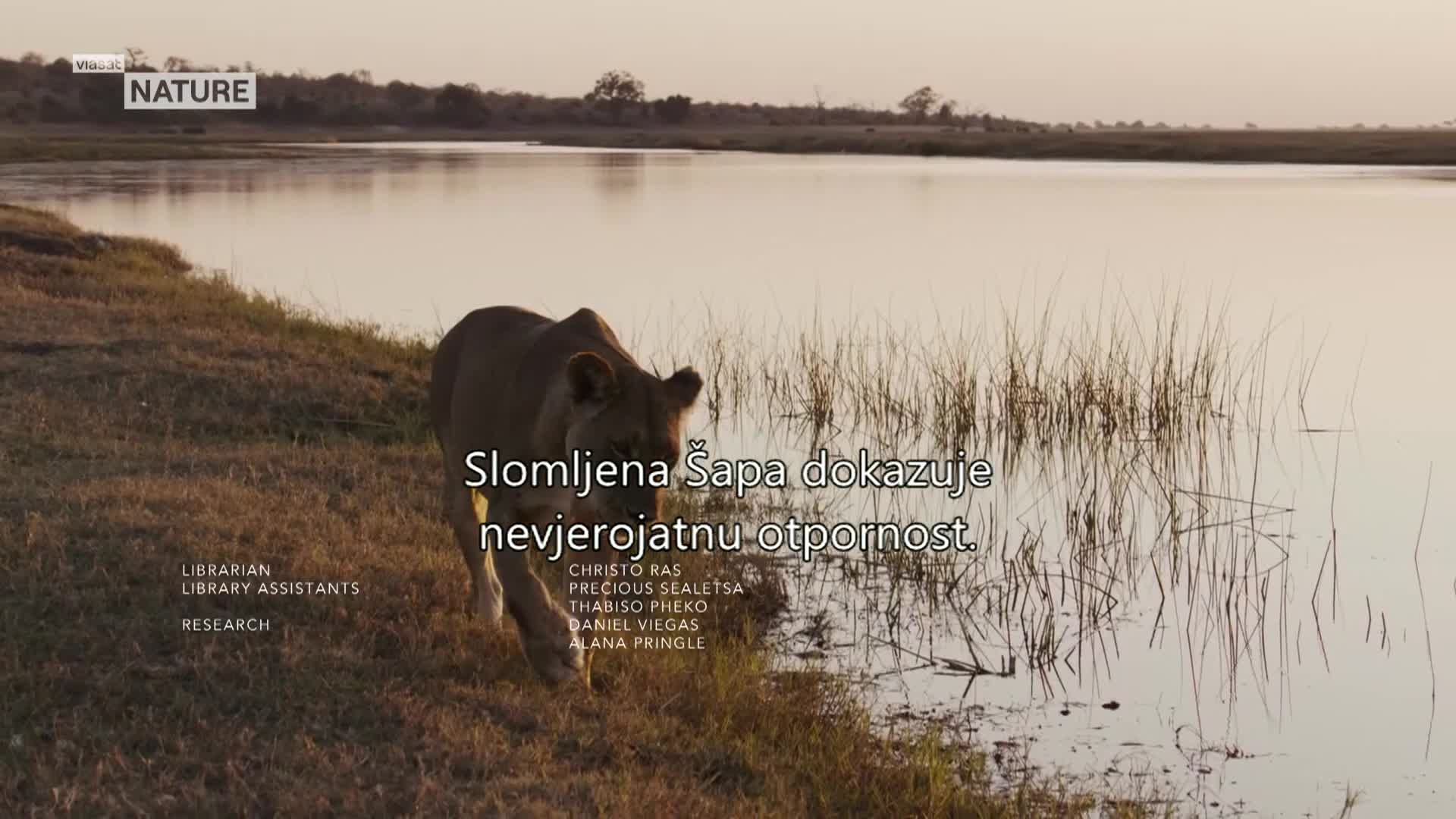 ViasatNature