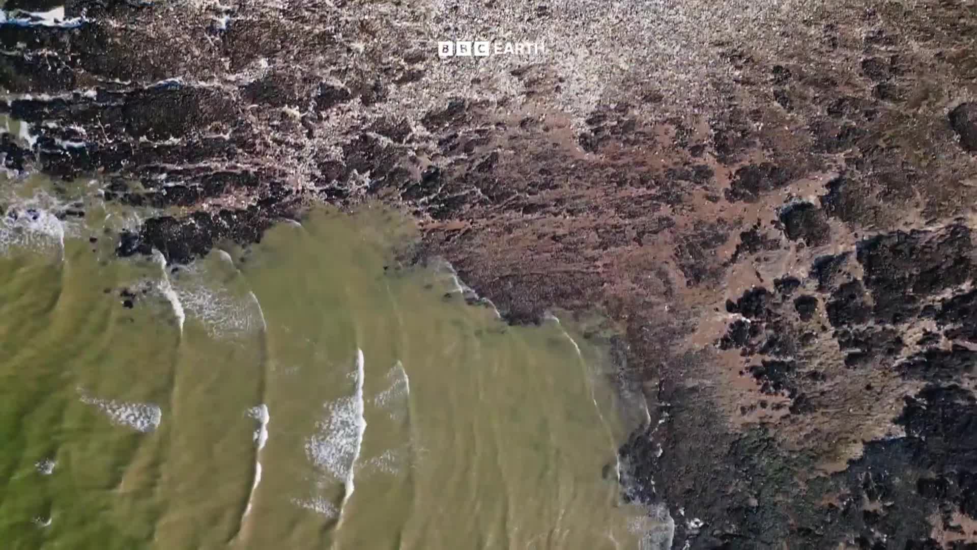 BBCEarth