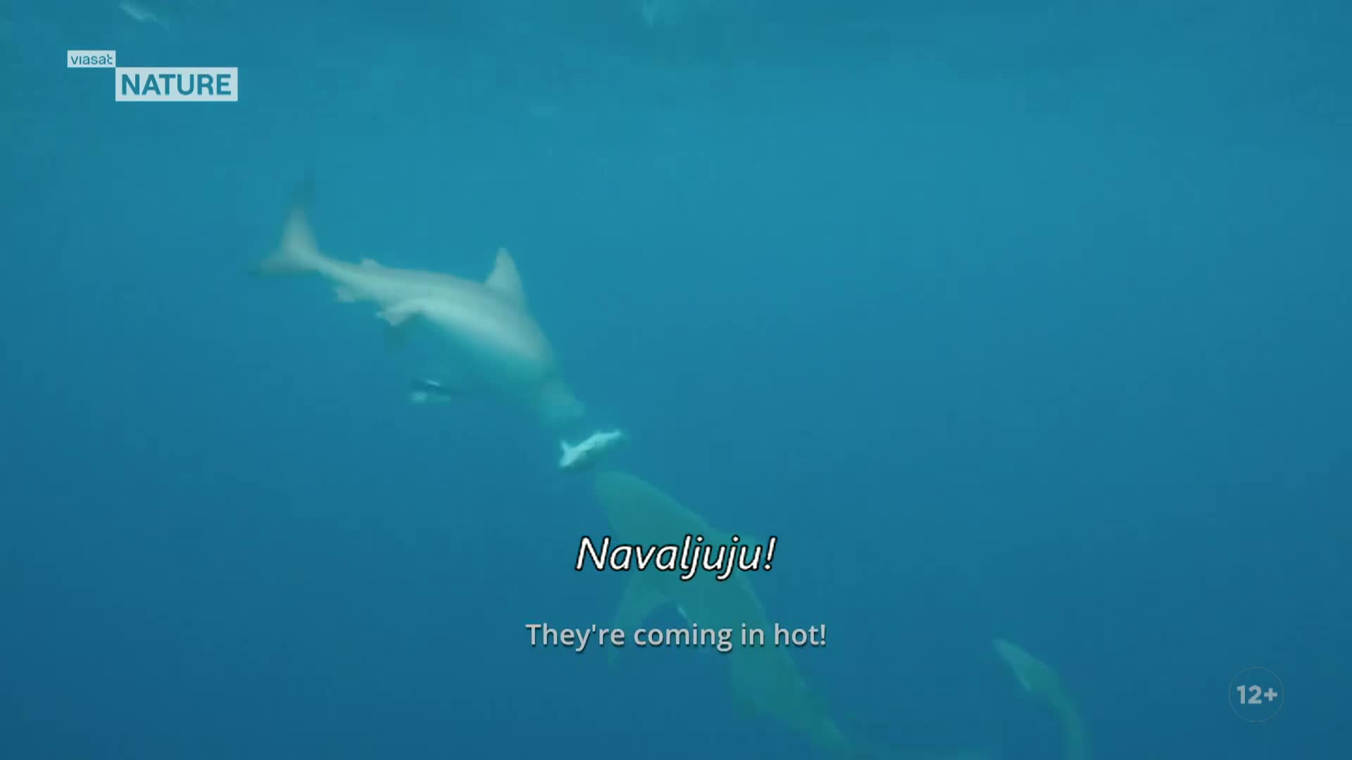 ViasatNature