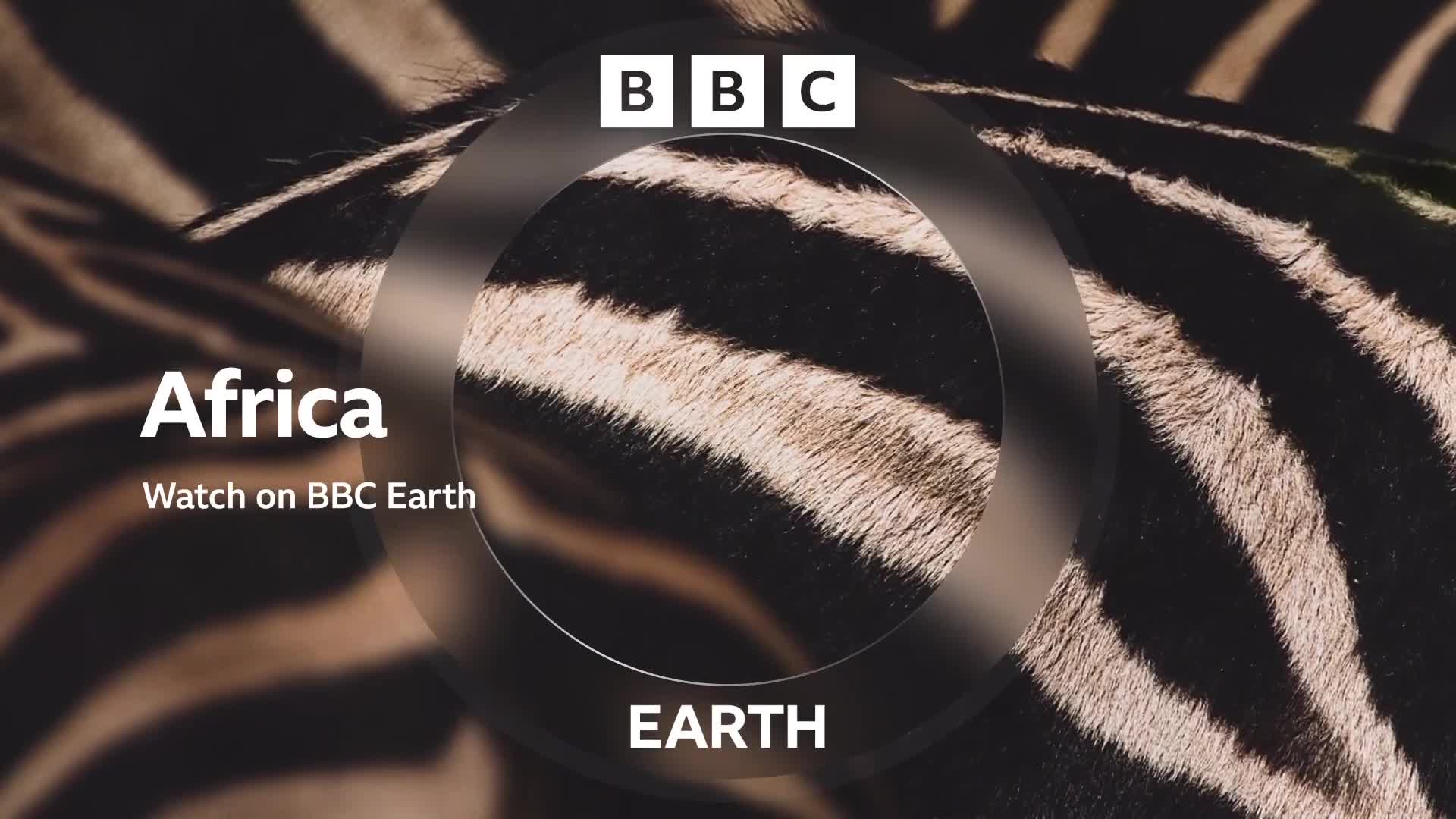 BBCEarth