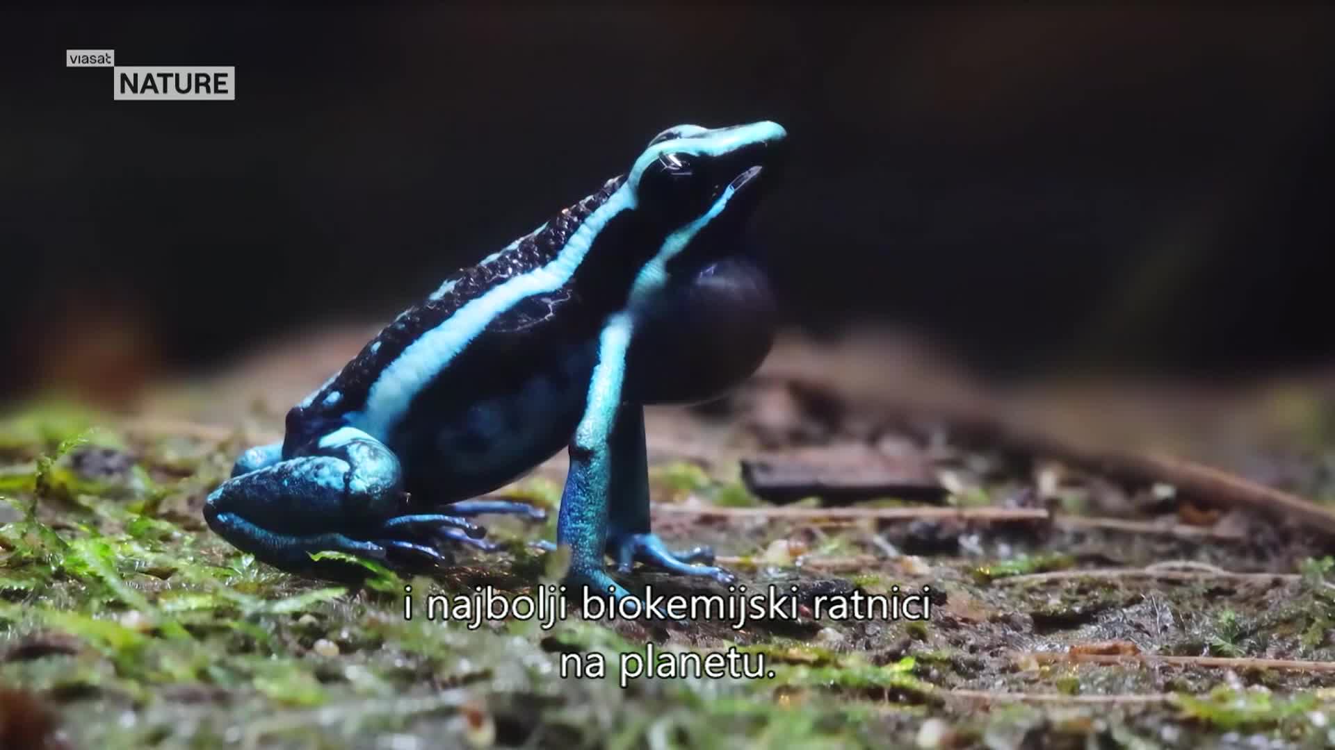 ViasatNature