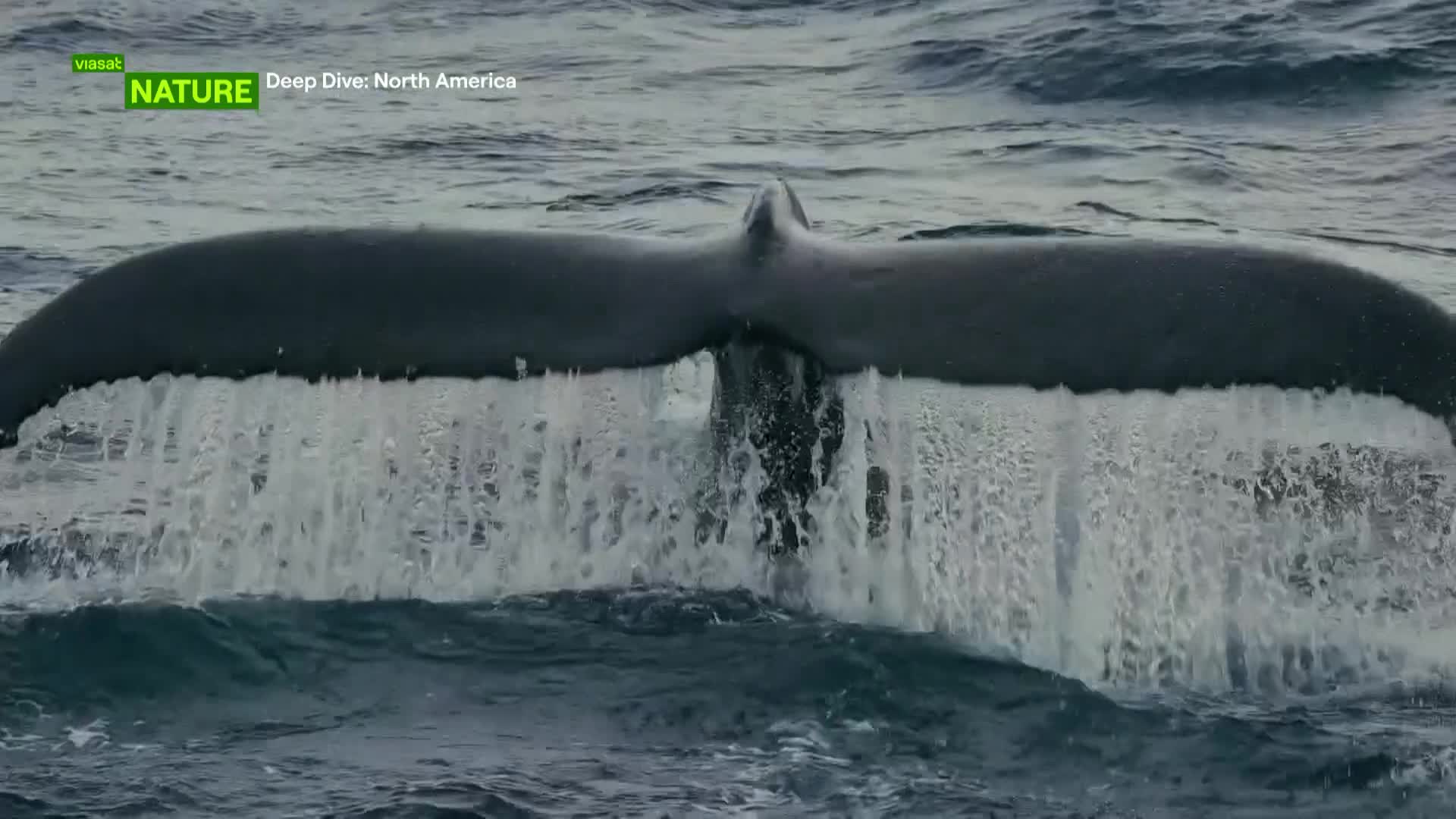 ViasatNature