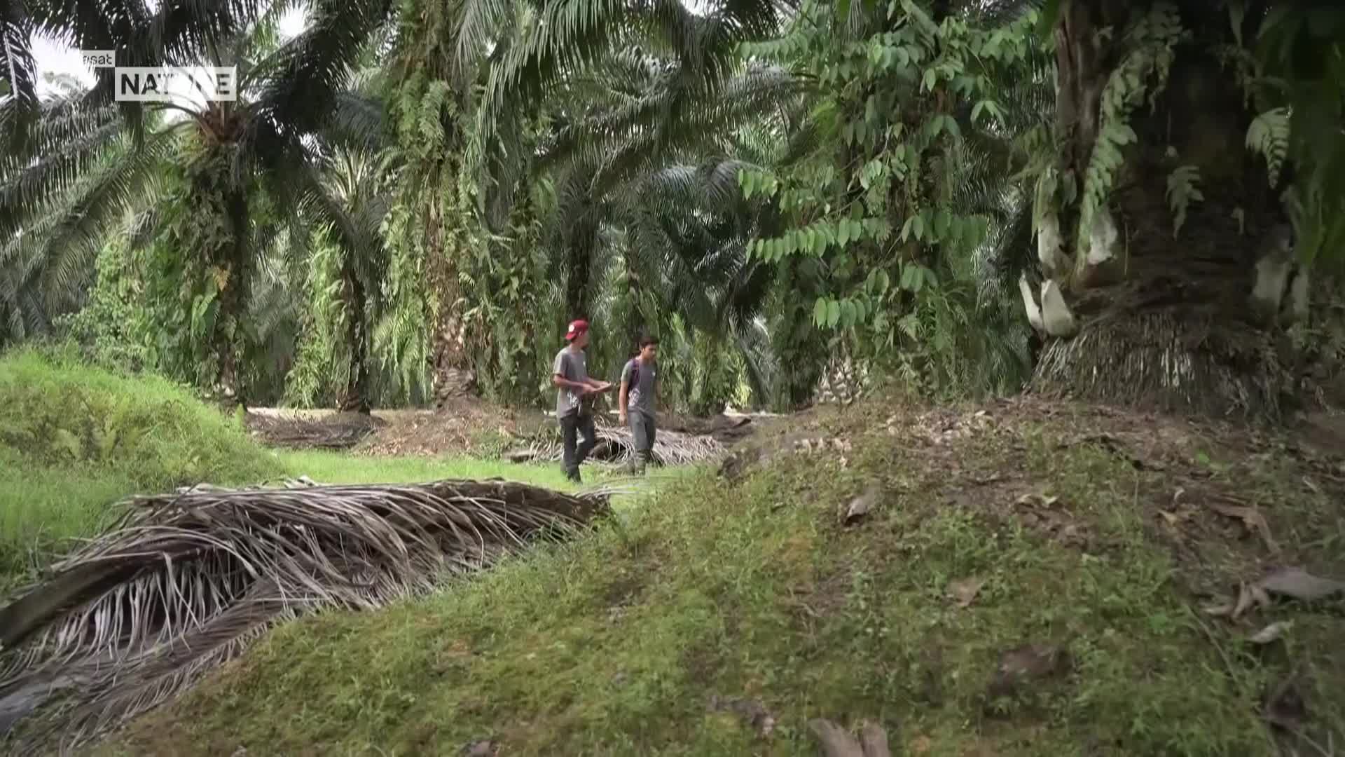 ViasatNature
