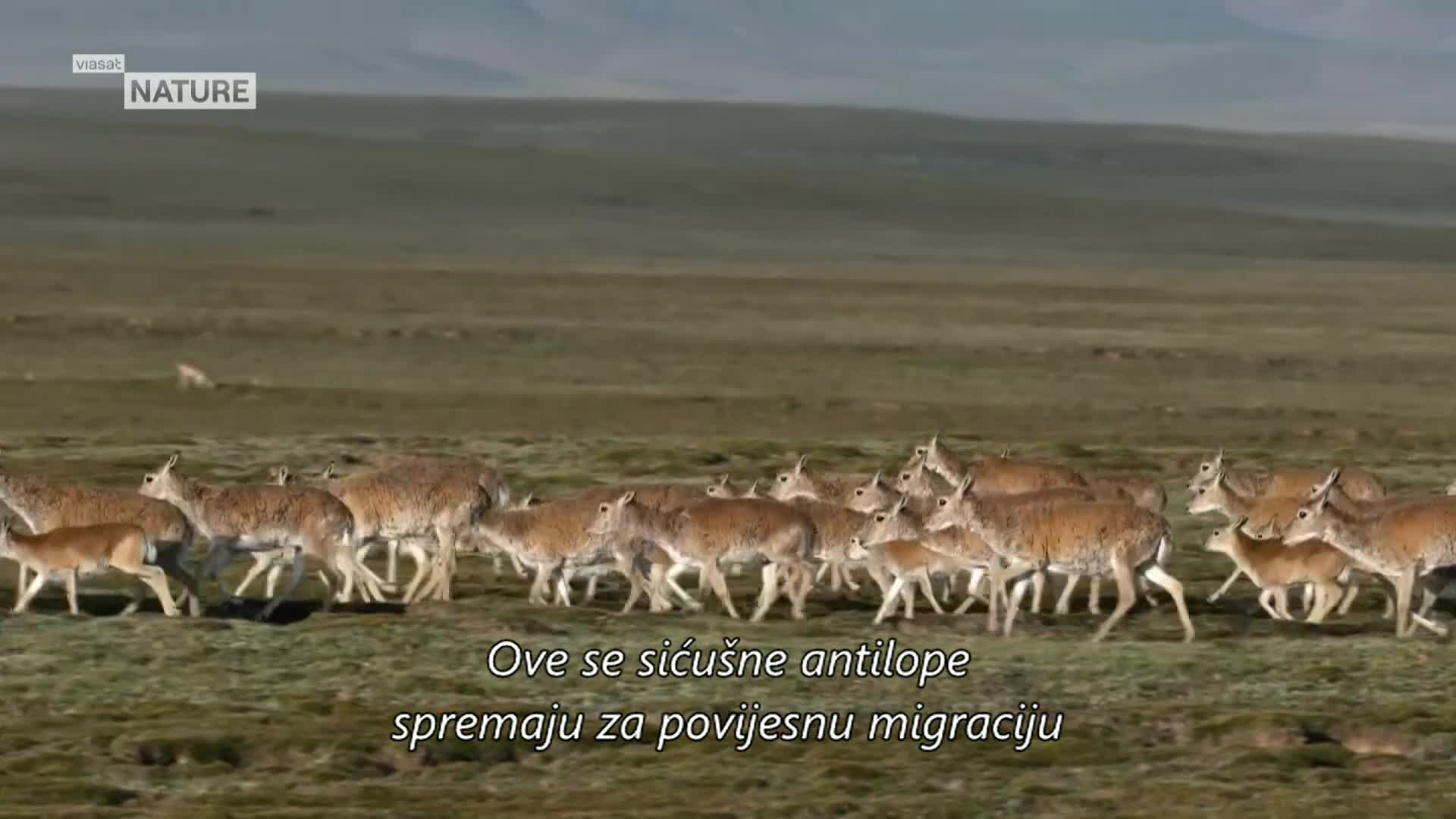 ViasatNature