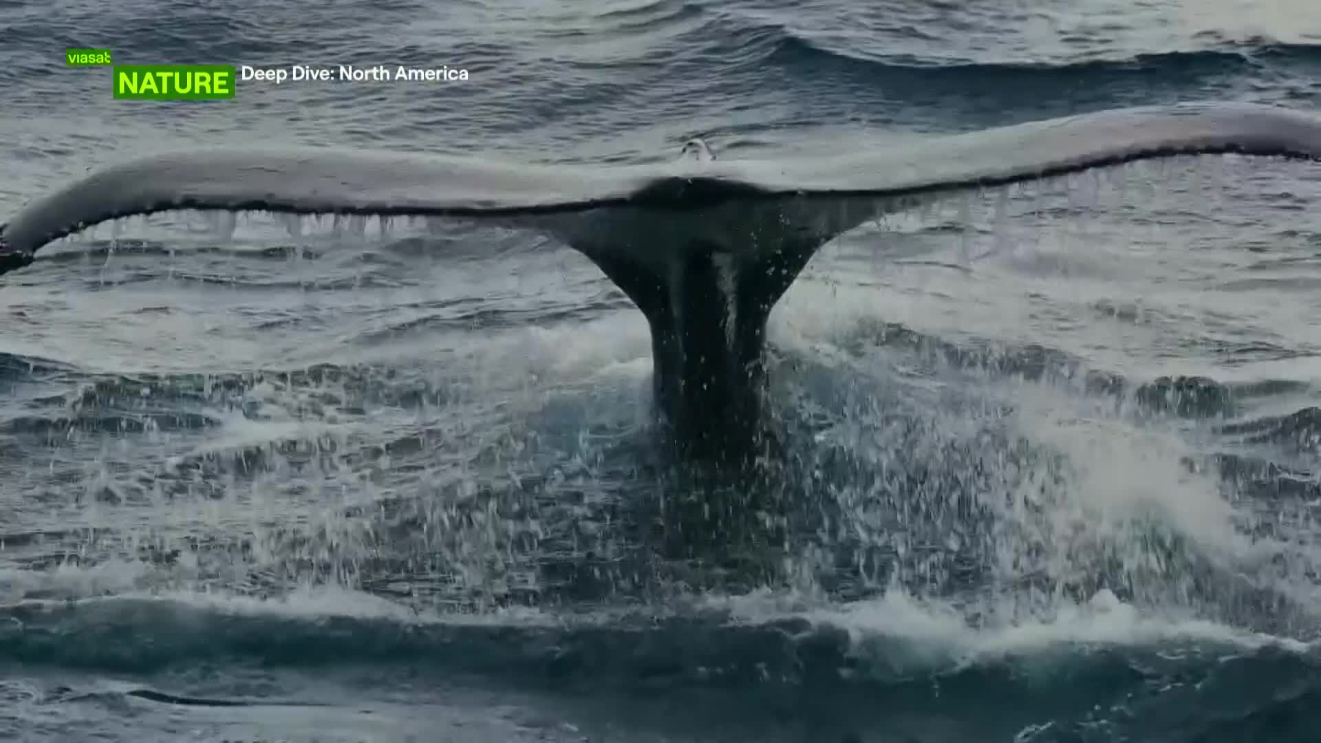 ViasatNature