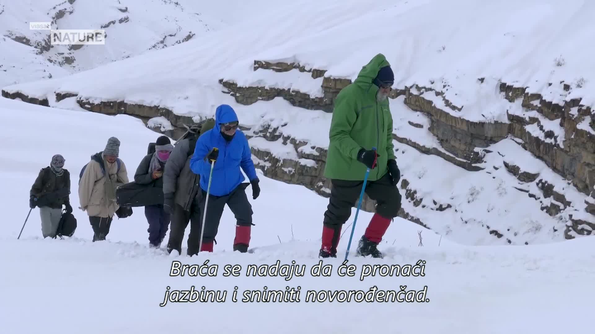 ViasatNature