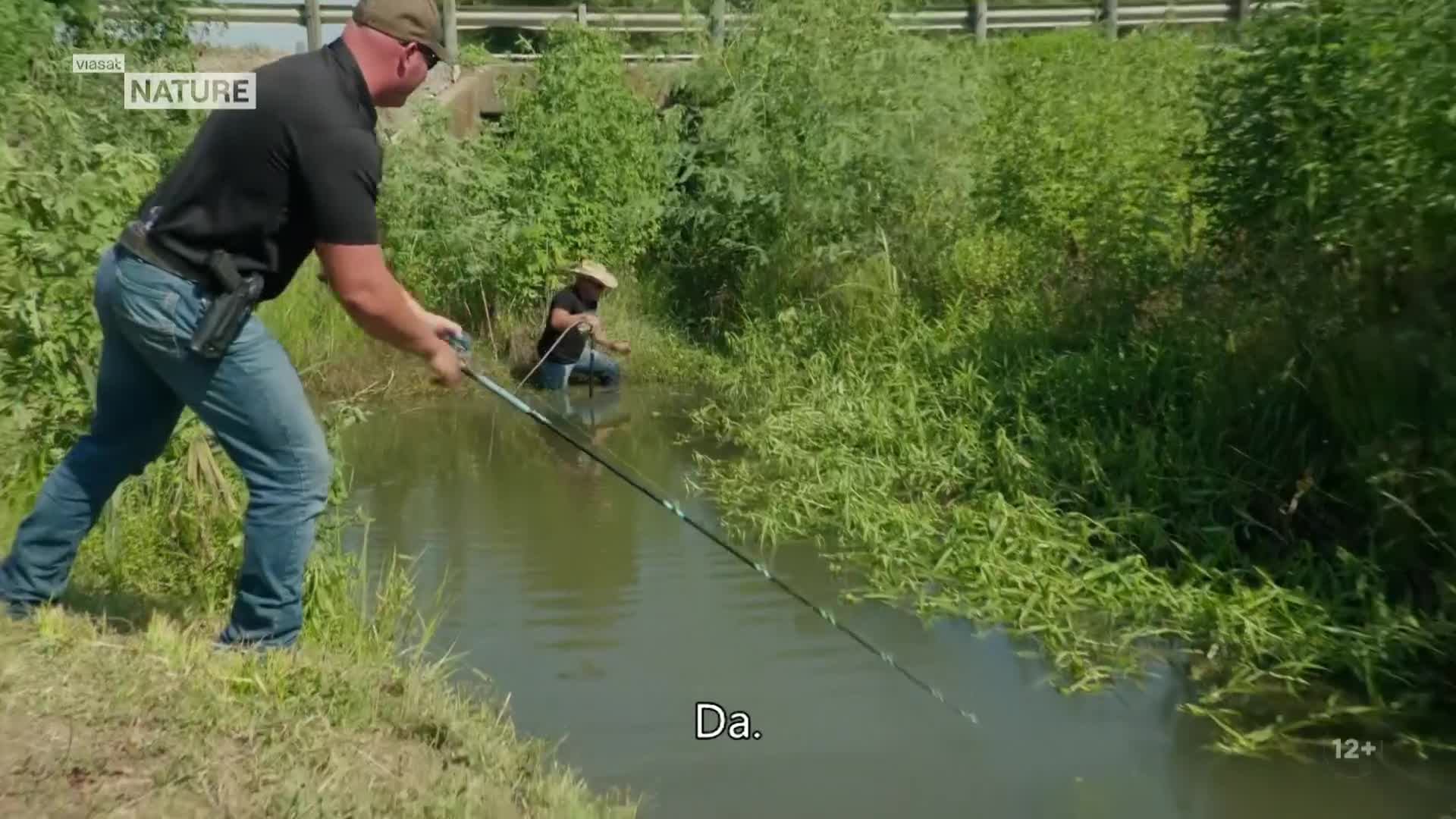 ViasatNature