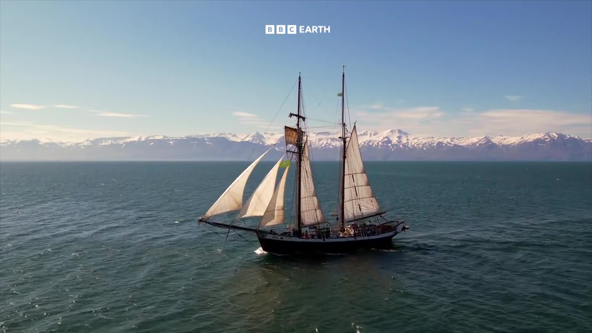 BBCEarth