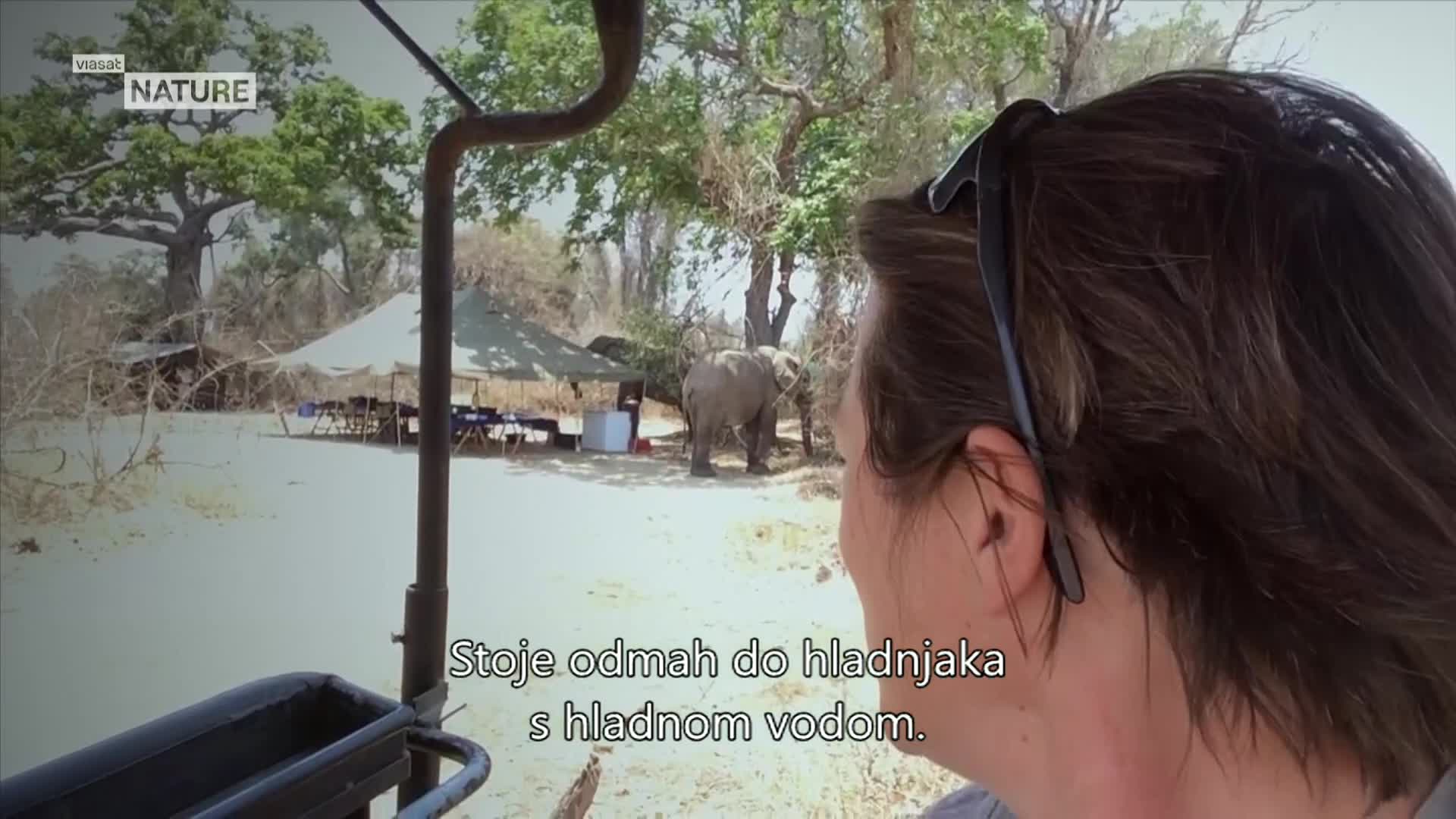 ViasatNature