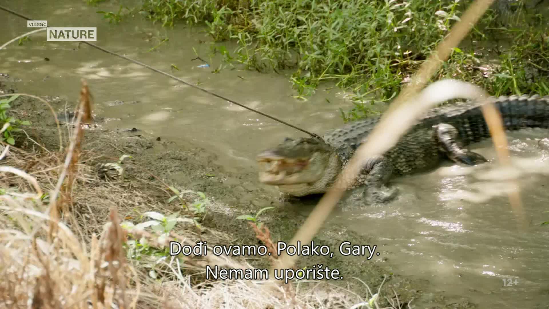 ViasatNature