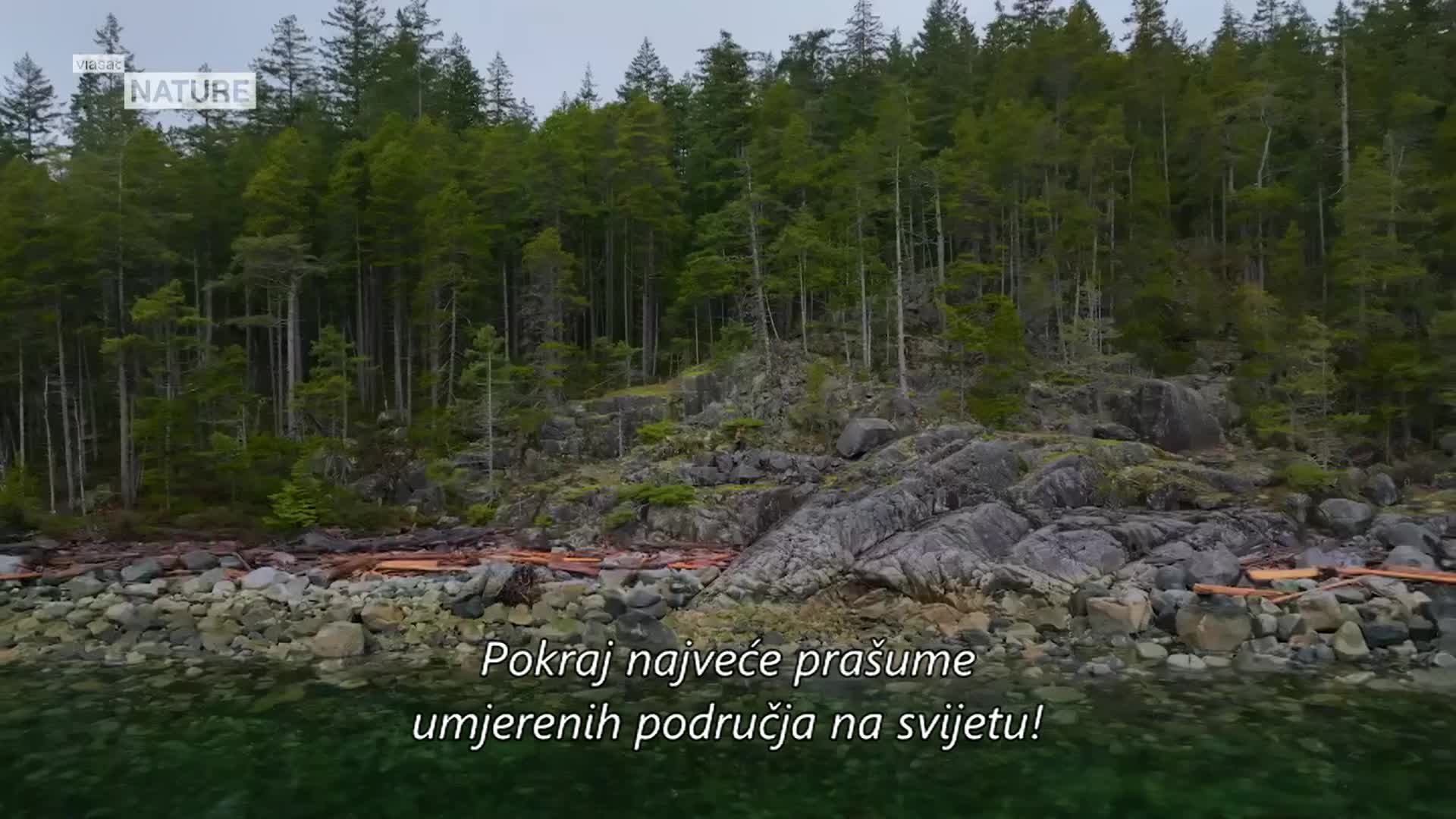 ViasatNature