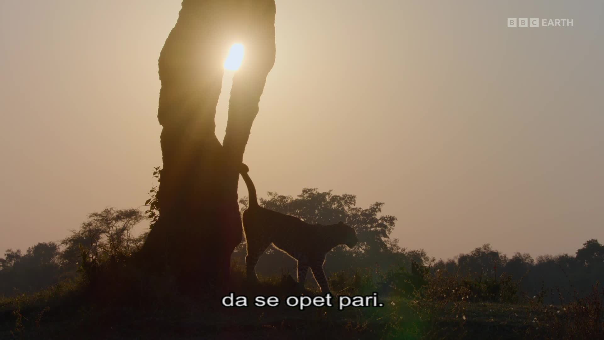 BBCEarth