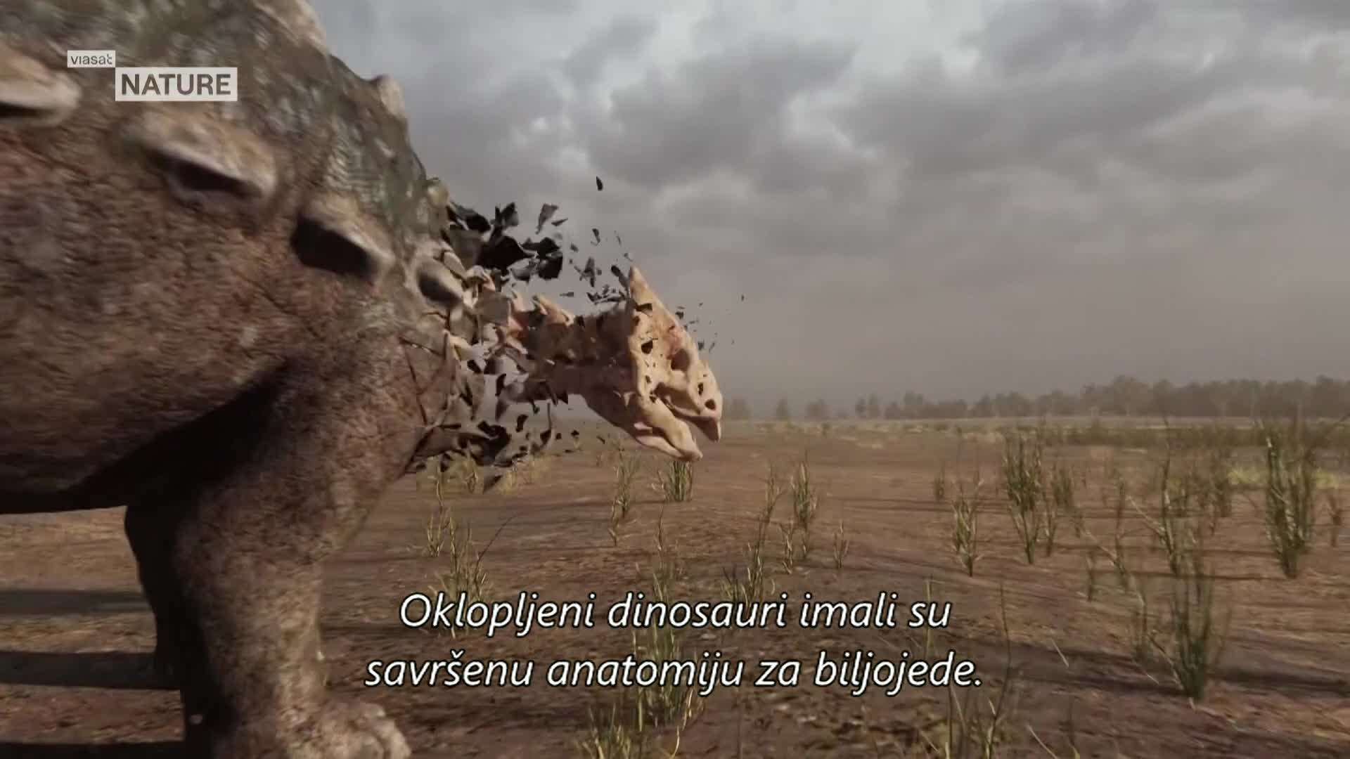 ViasatNature