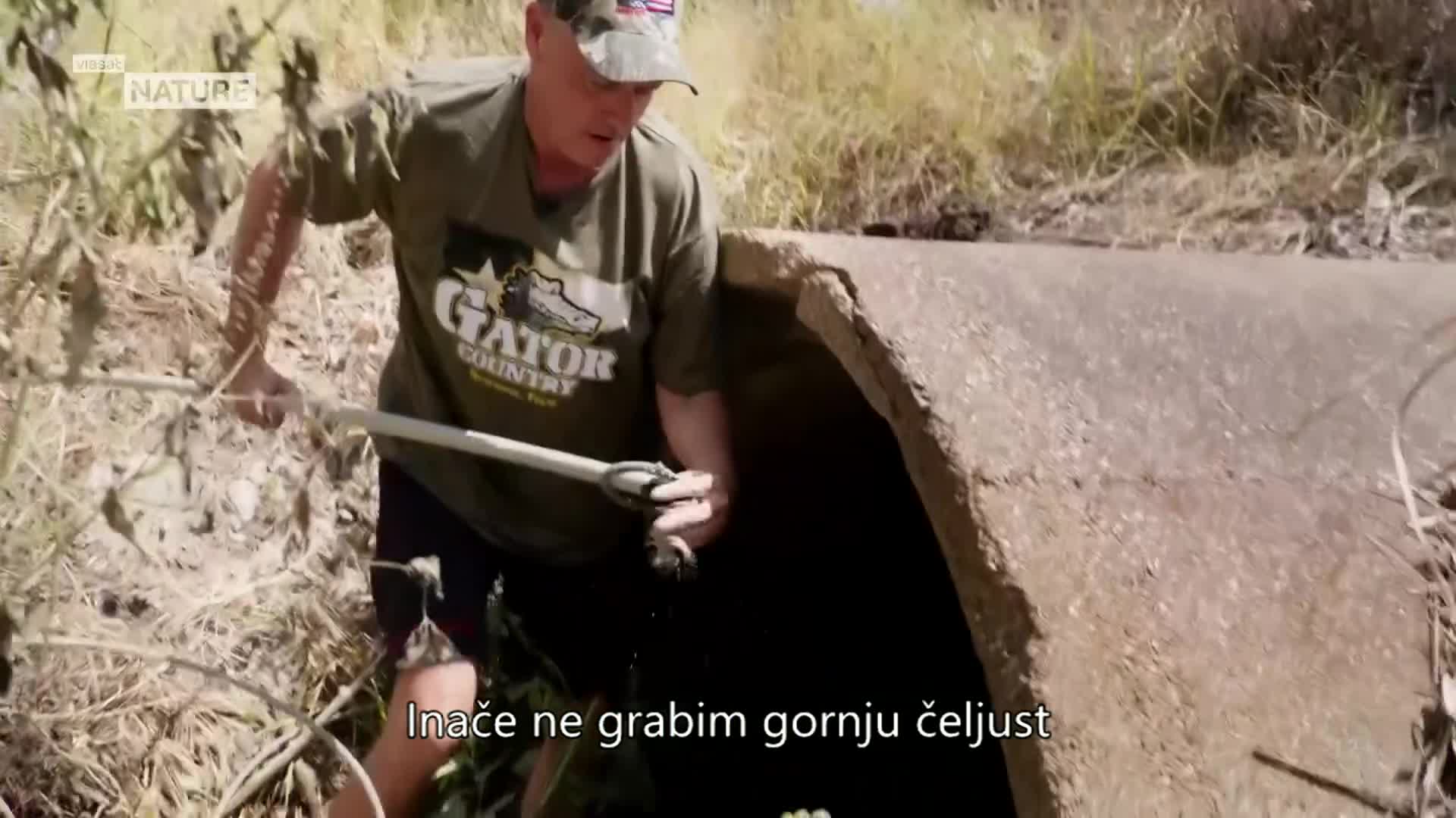 ViasatNature