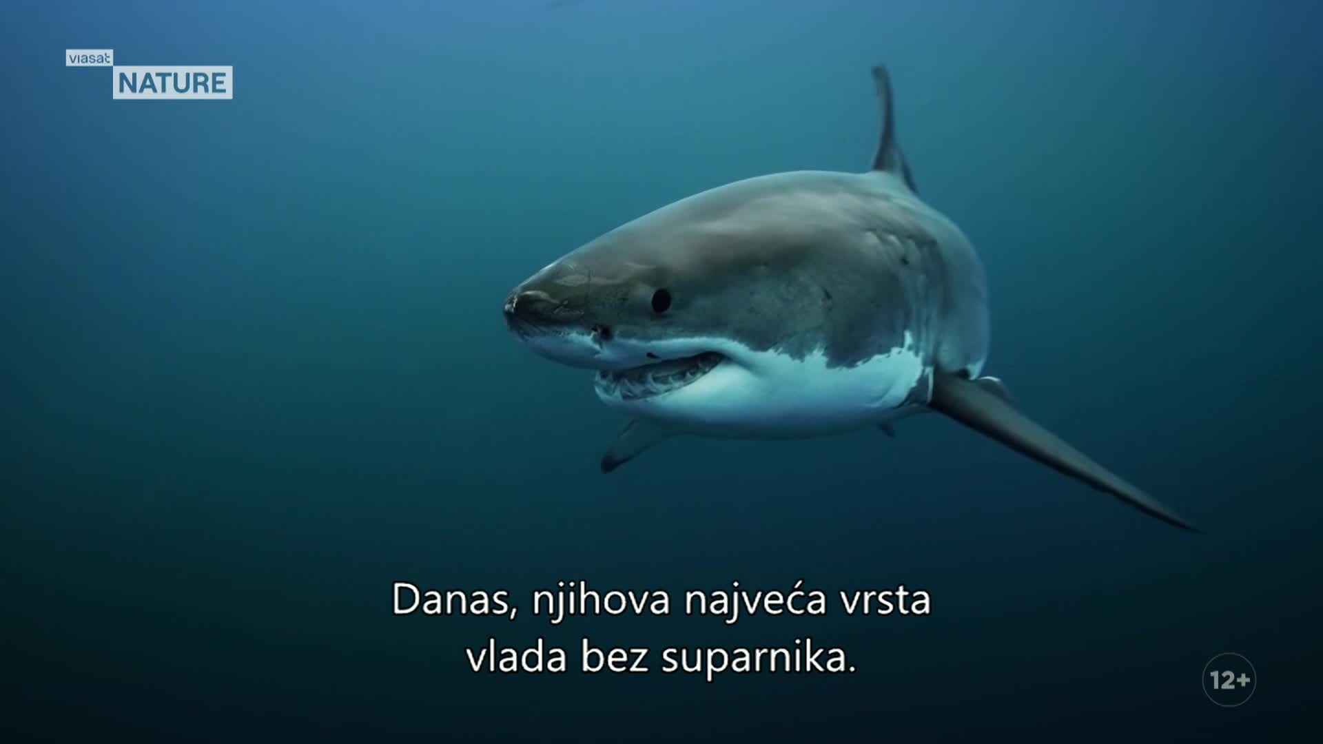 ViasatNature