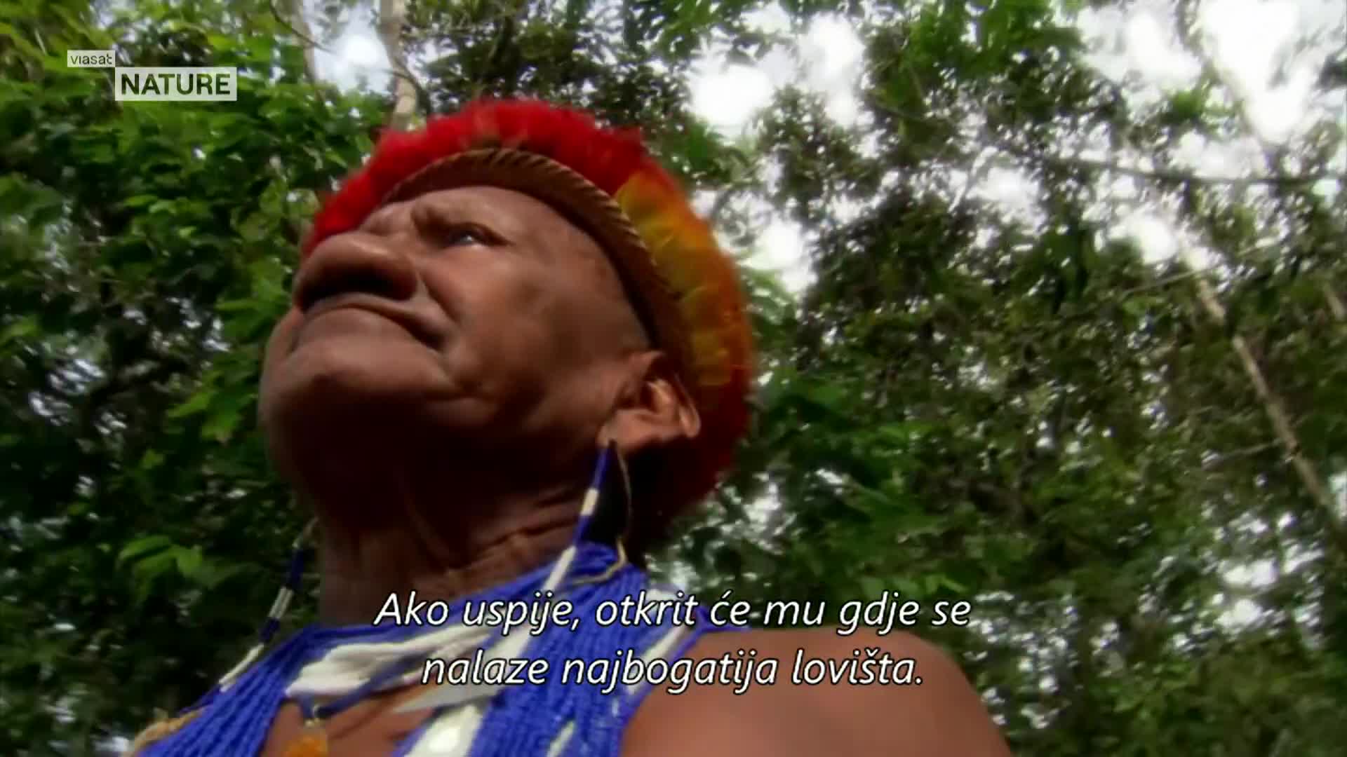 ViasatNature