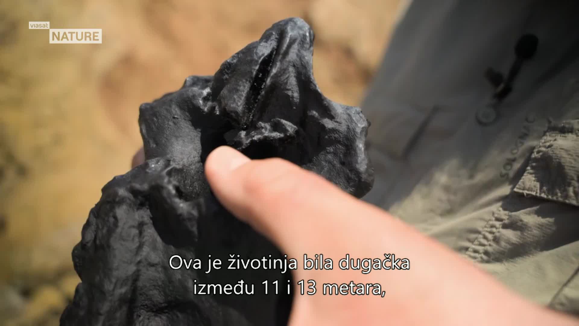 ViasatNature